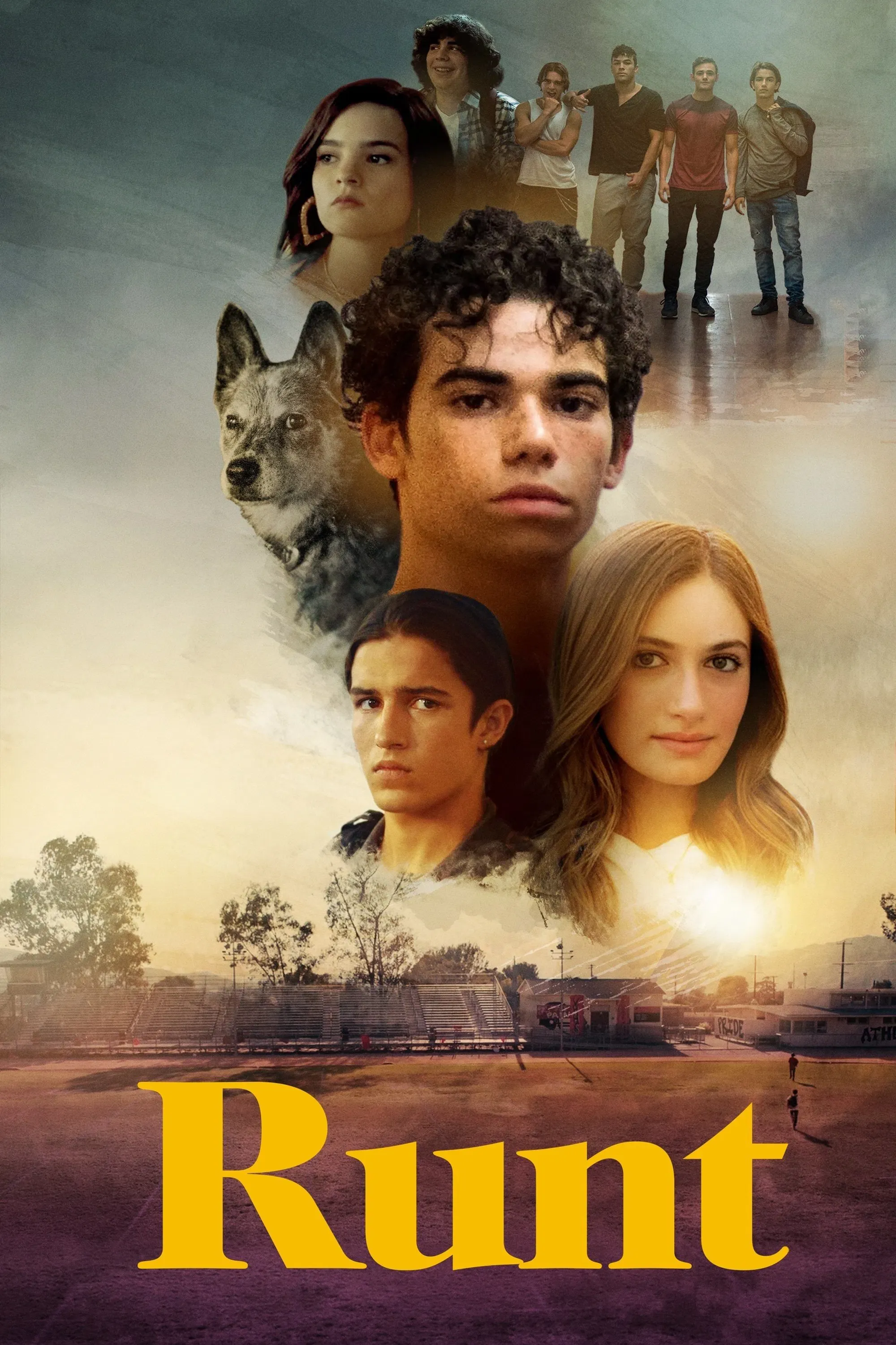 Poster of the movie Runt