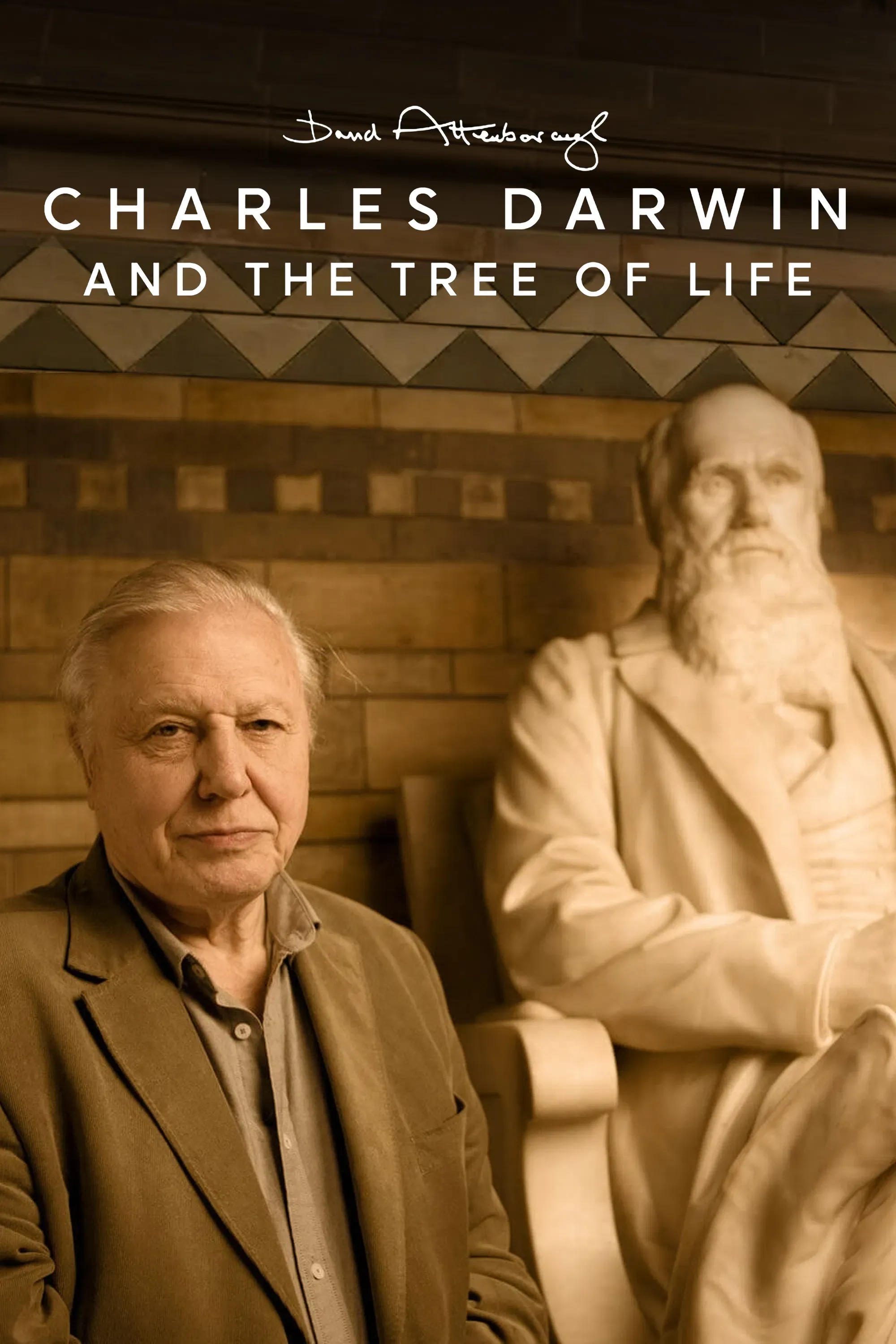 Poster of the movie Charles Darwin and the Tree of Life