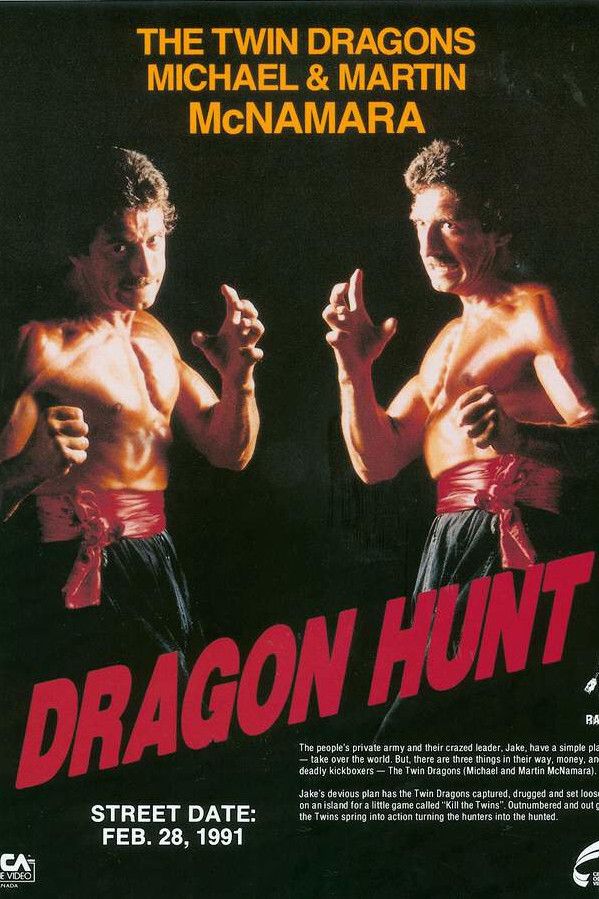 Poster of the movie Dragon Hunt