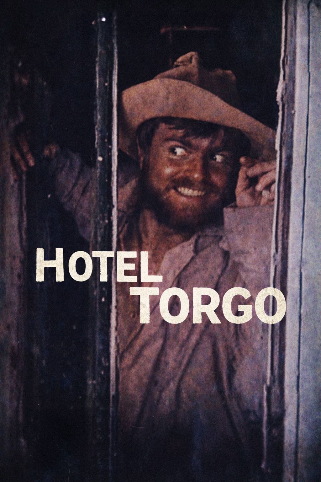 Poster of the movie Hotel Torgo