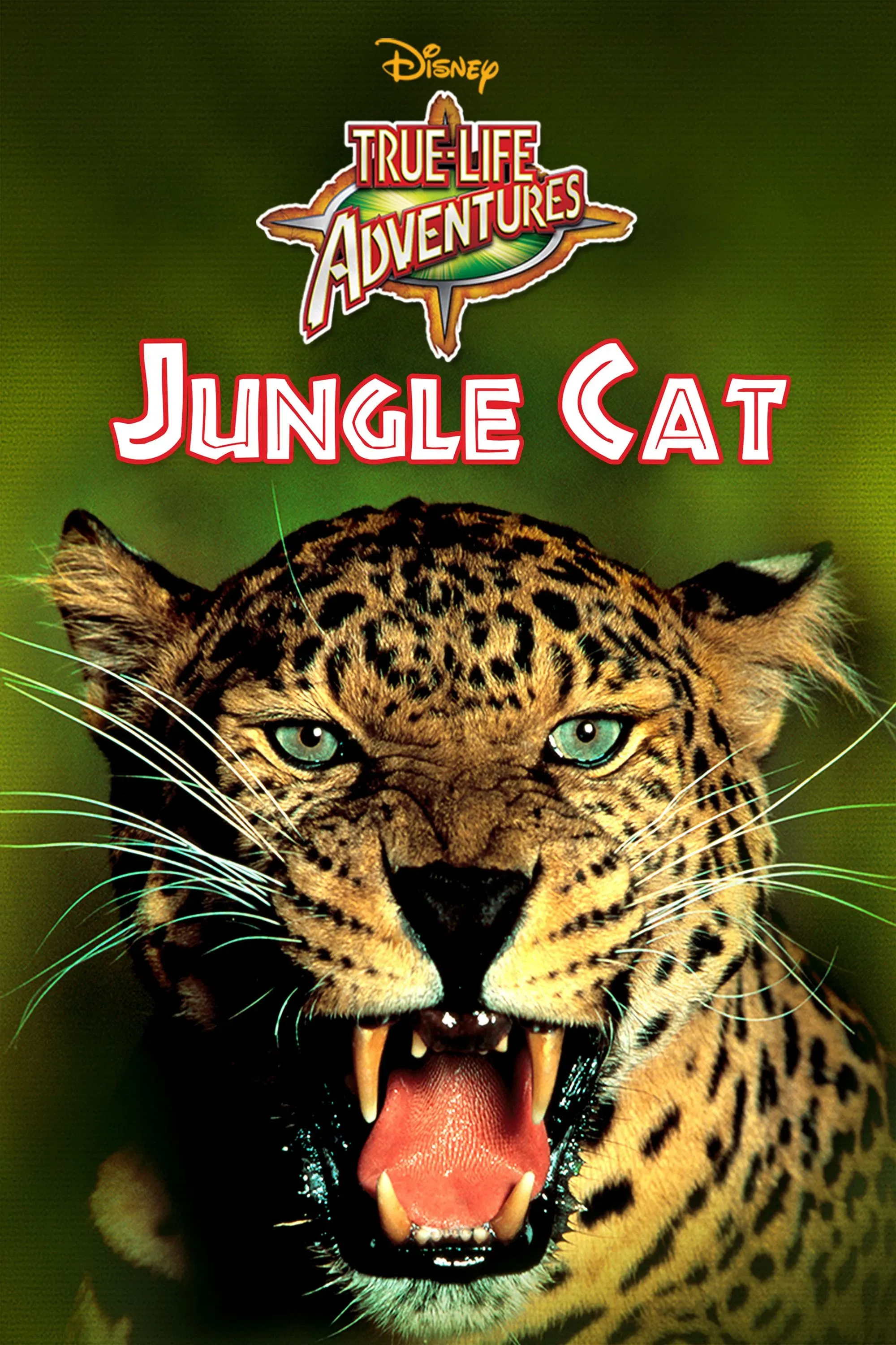 Poster of the movie Jungle Cat