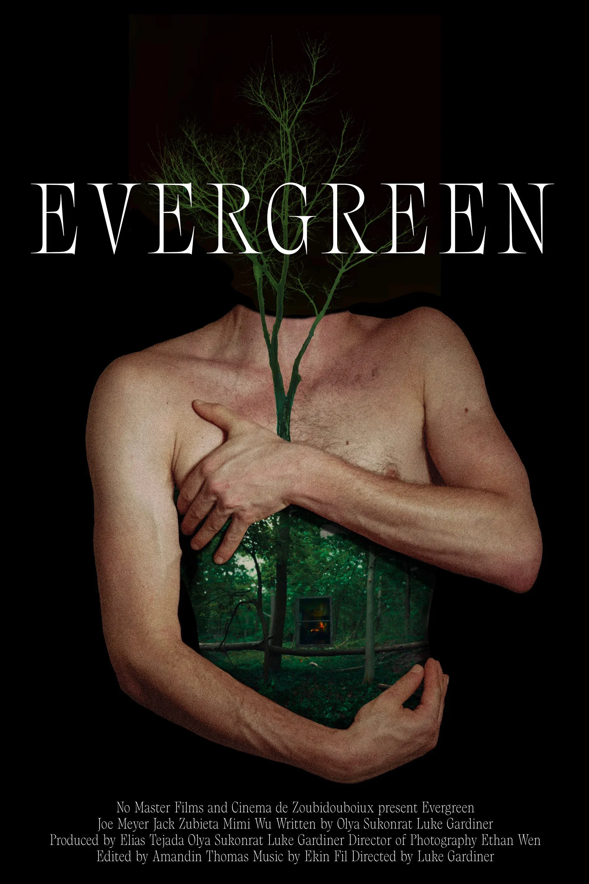Poster for Evergreen
