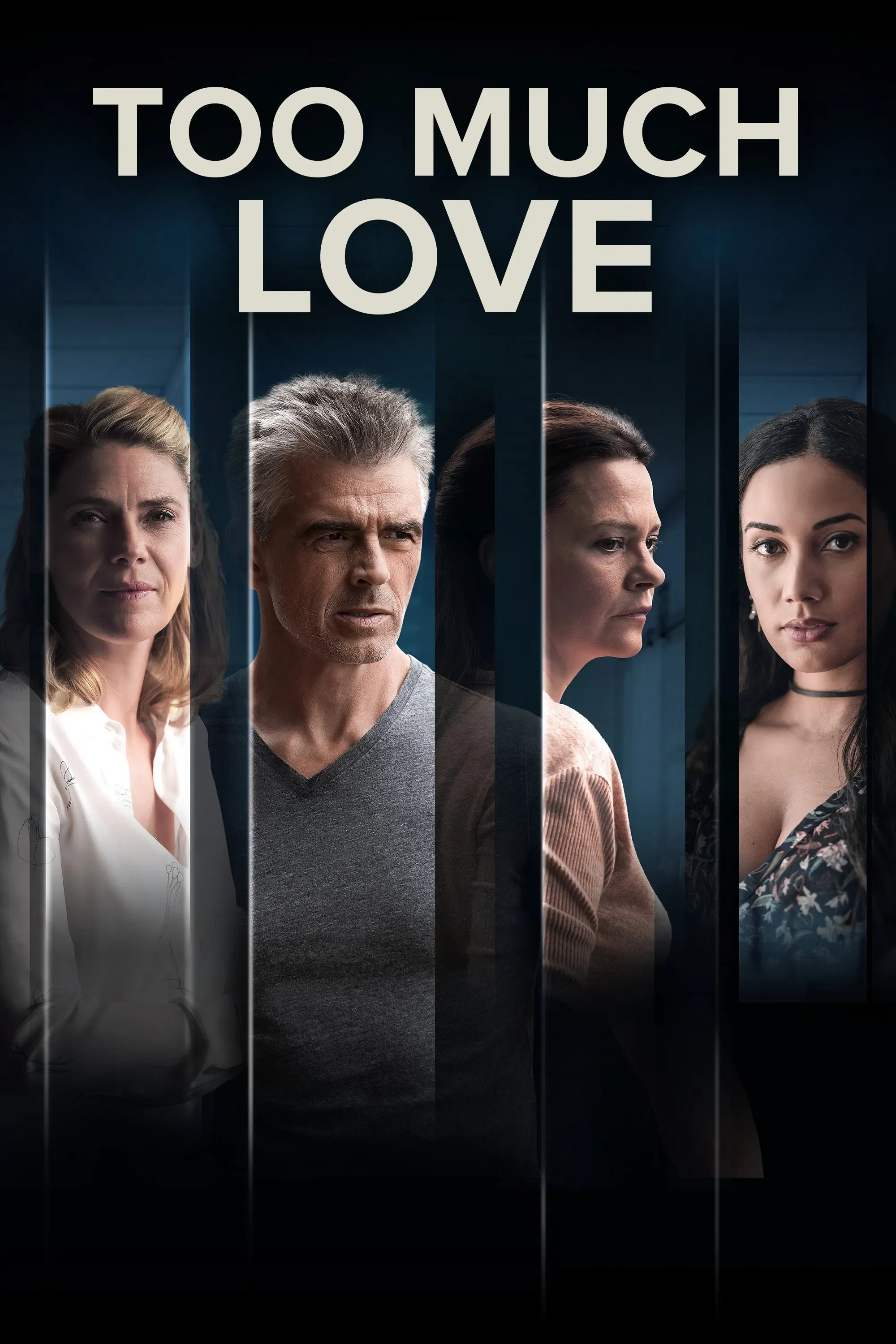 Poster of Too Much Love
