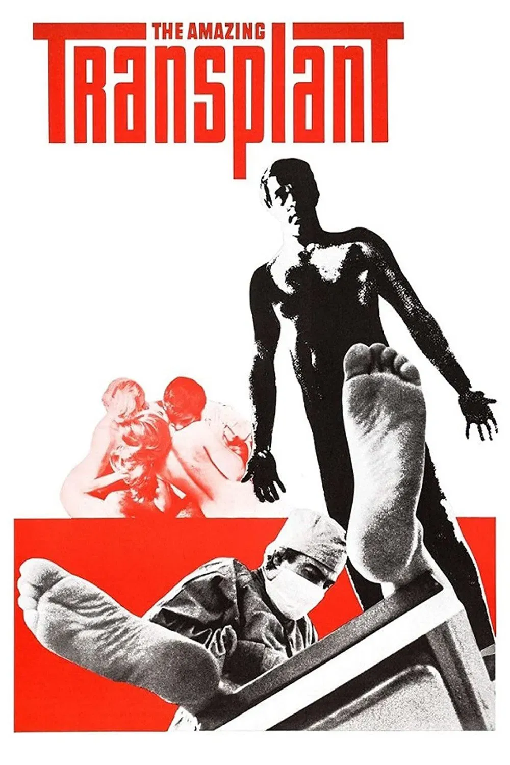 Poster of the movie The Amazing Transplant