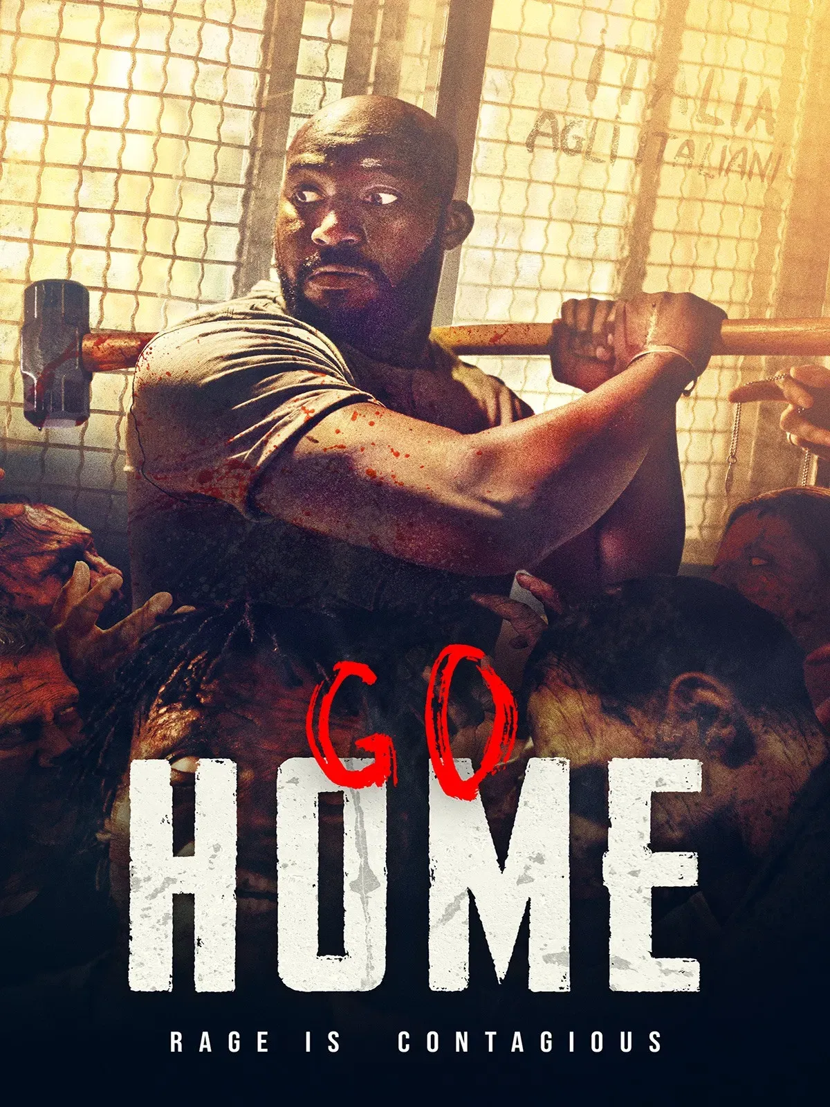 Poster of the movie Go Home