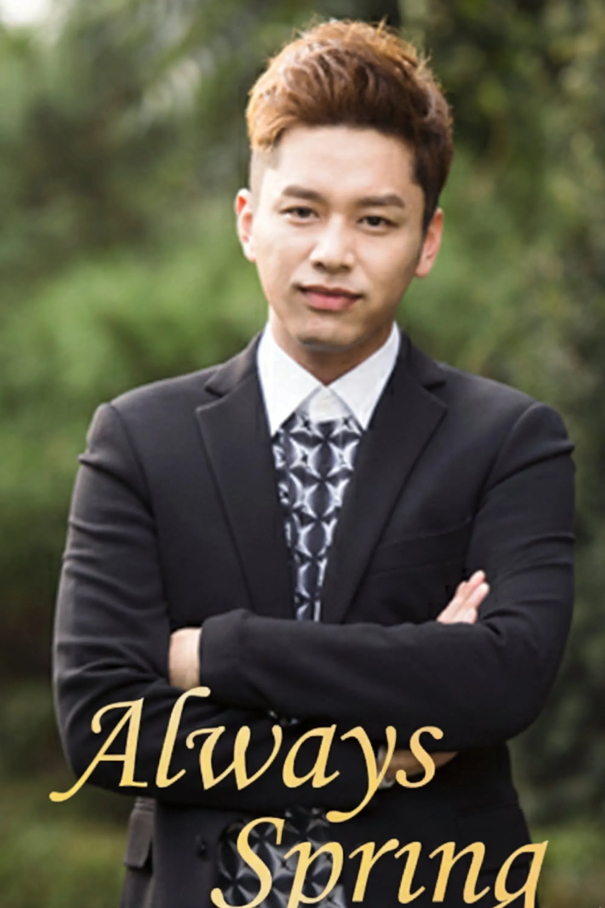 Poster of Always Spring