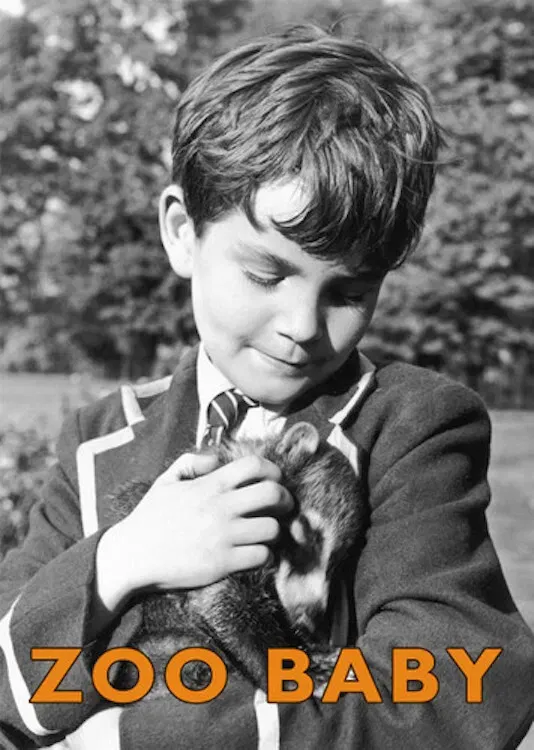 Poster of the movie Zoo Baby