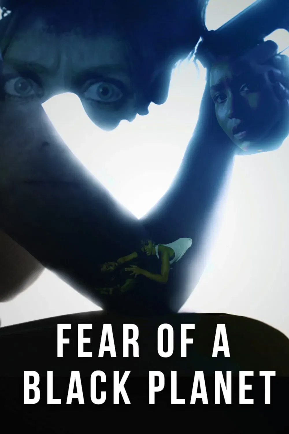 Poster of the movie Fear of a Black Planet