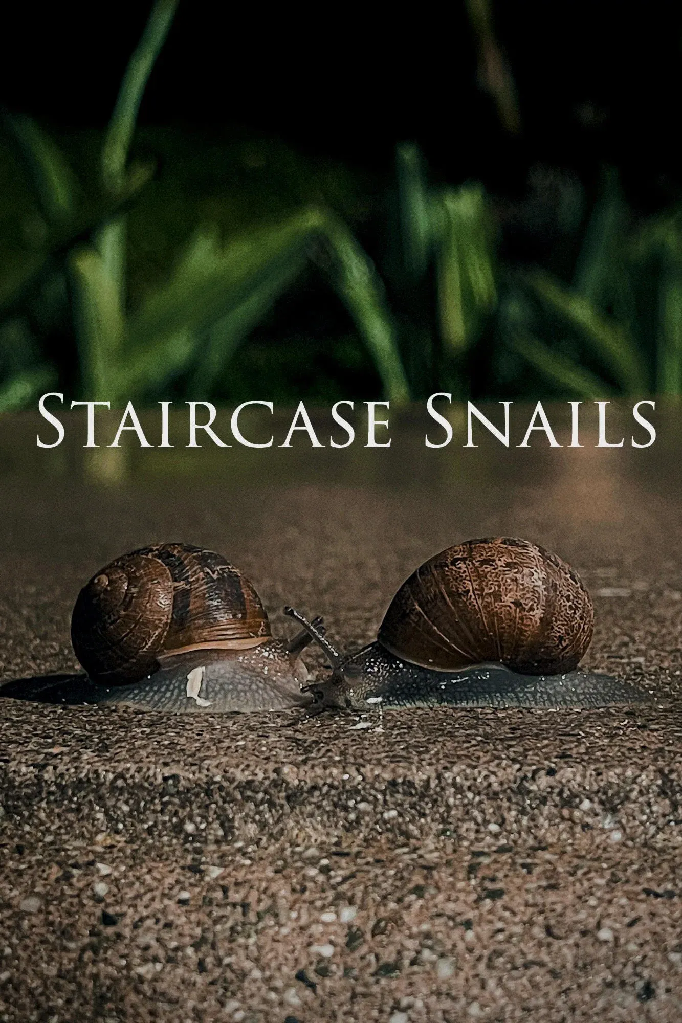 Poster for Staircase Snails