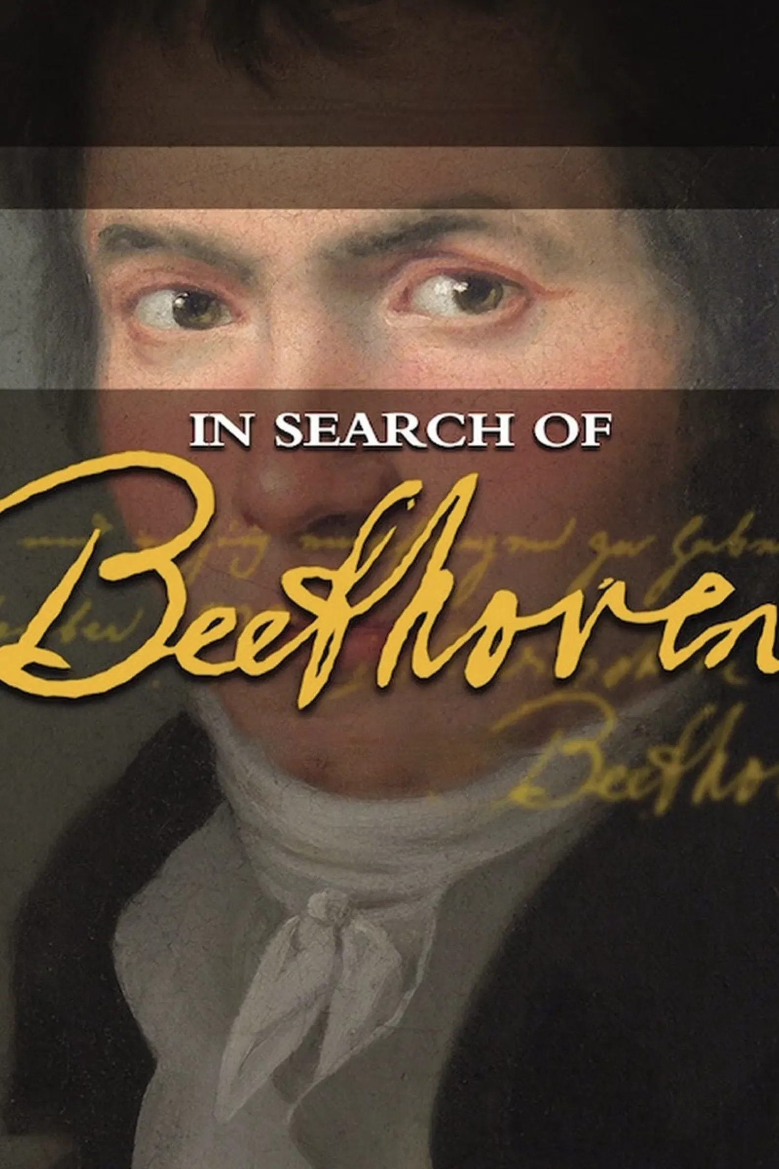 Poster of the movie In Search of Beethoven