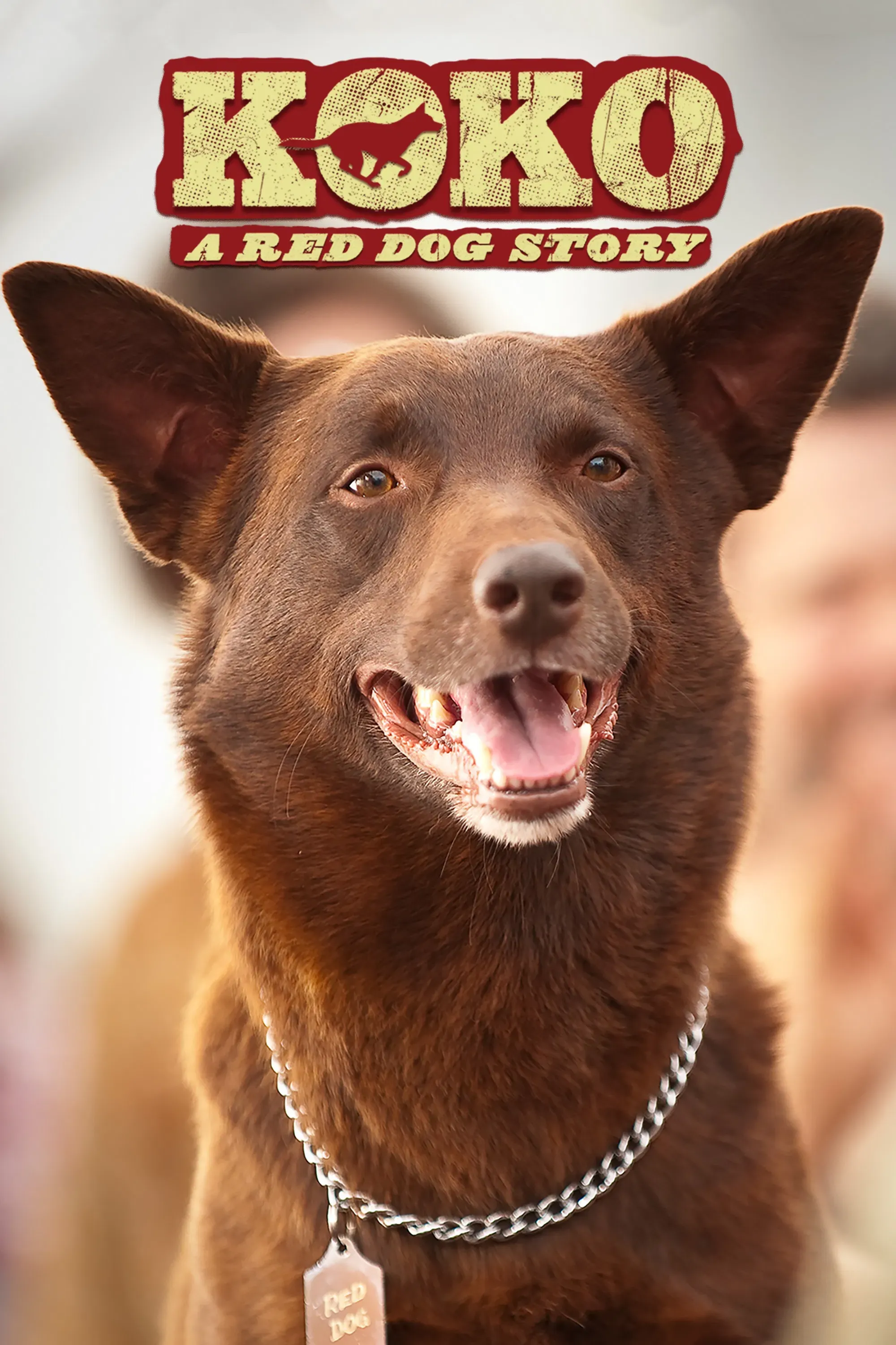 Poster of the movie Koko: A Red Dog Story