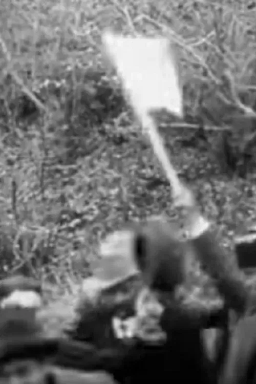 Poster of the movie The Romanian Minister Istrate Visits Gopesh