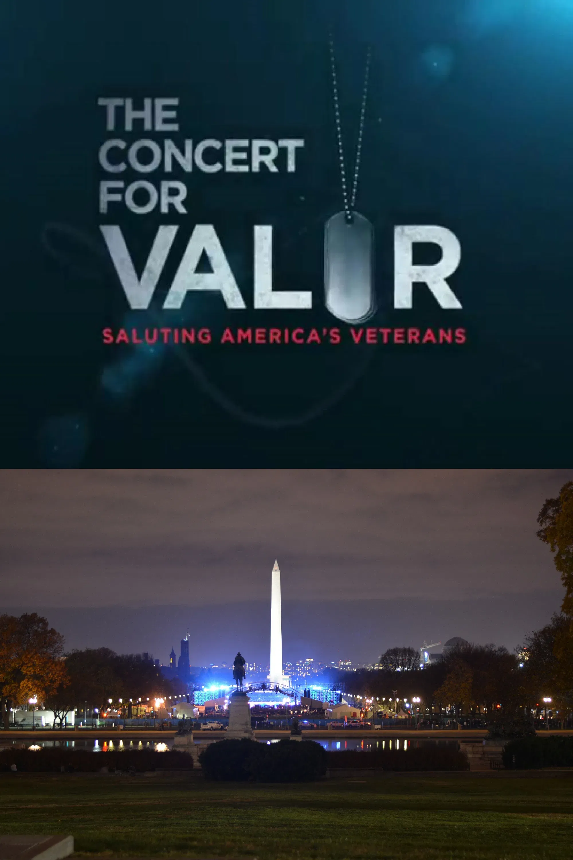 Poster of the movie The Concert for Valor