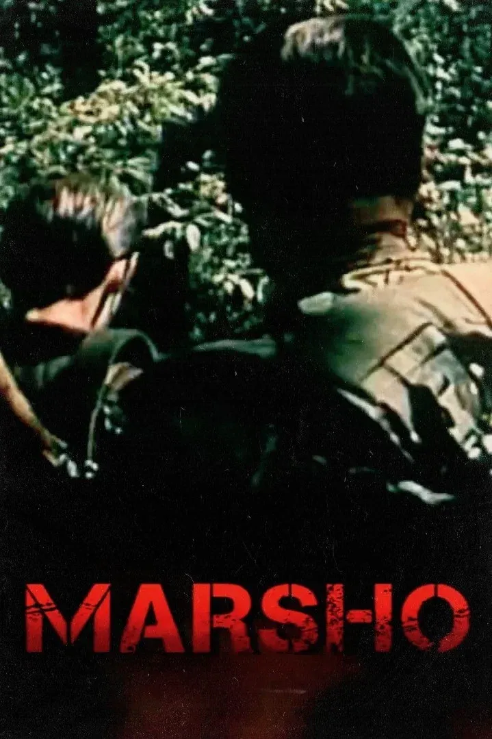 Poster for Freedom