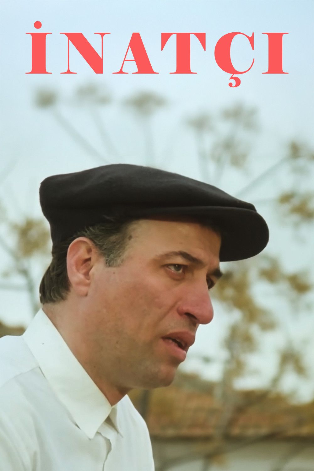 Poster of the movie Stubborn