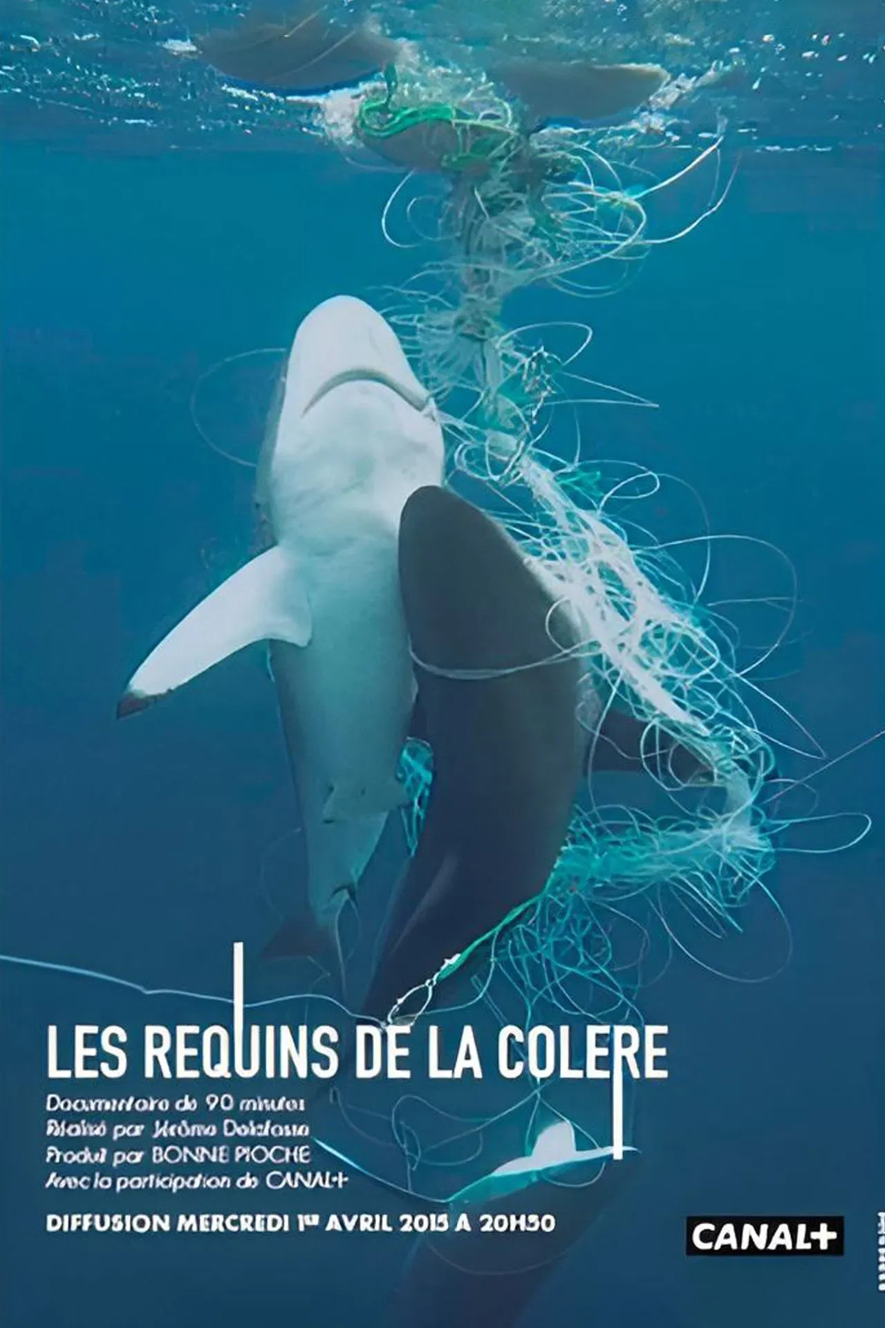 Poster of the movie Les Requins de la Colère