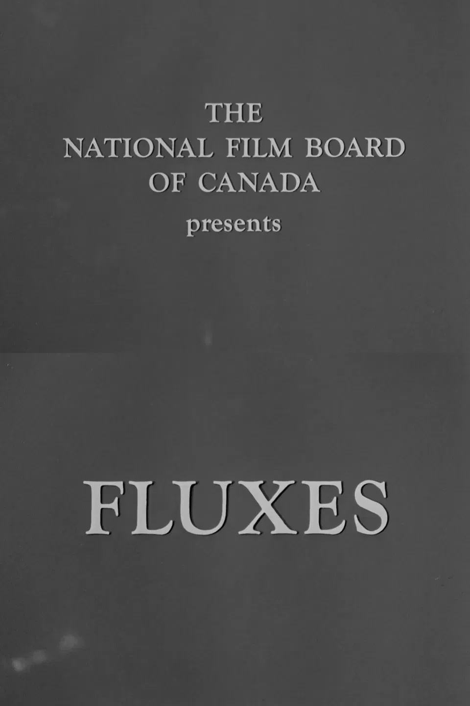 Poster of the movie Fluxes