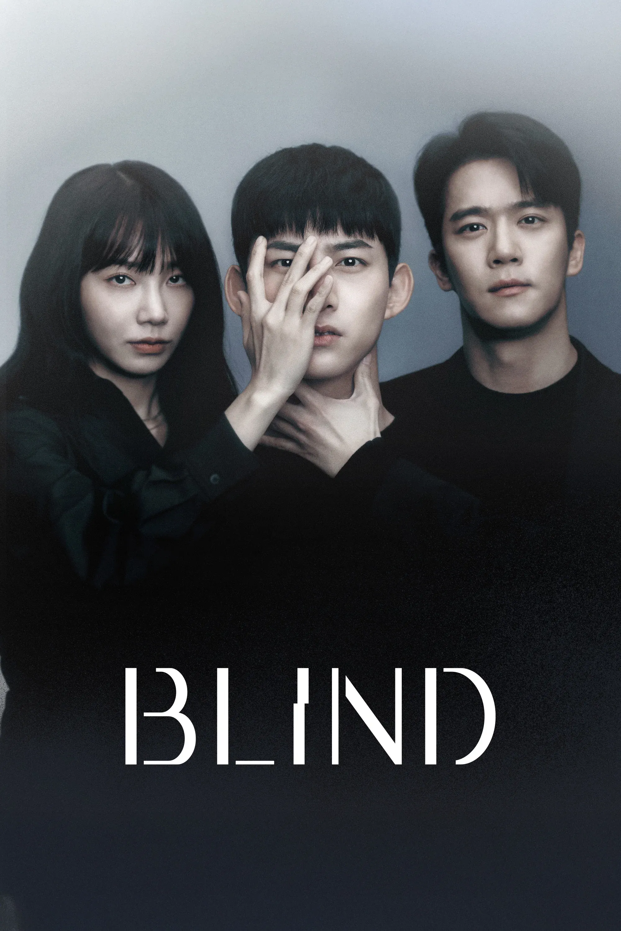 Poster of Blind