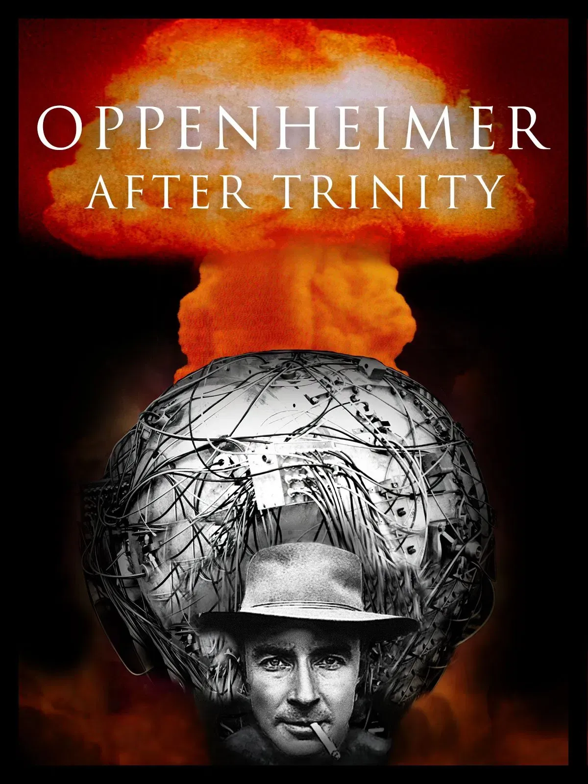 Poster of the movie Oppenheimer After Trinity