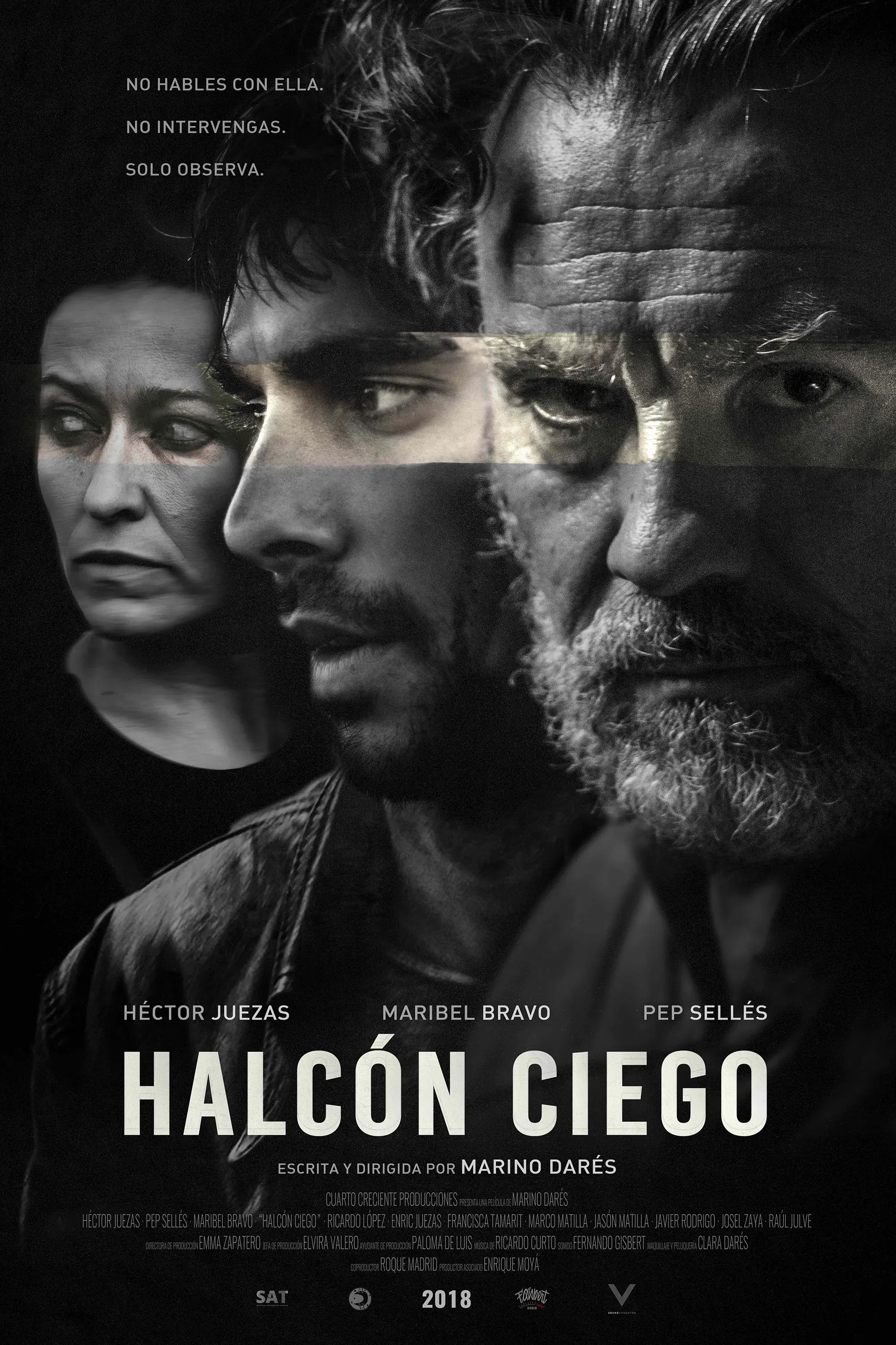 Poster of the movie Halcón Ciego