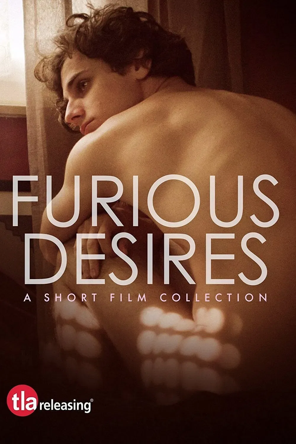Poster of the movie Furious Desires