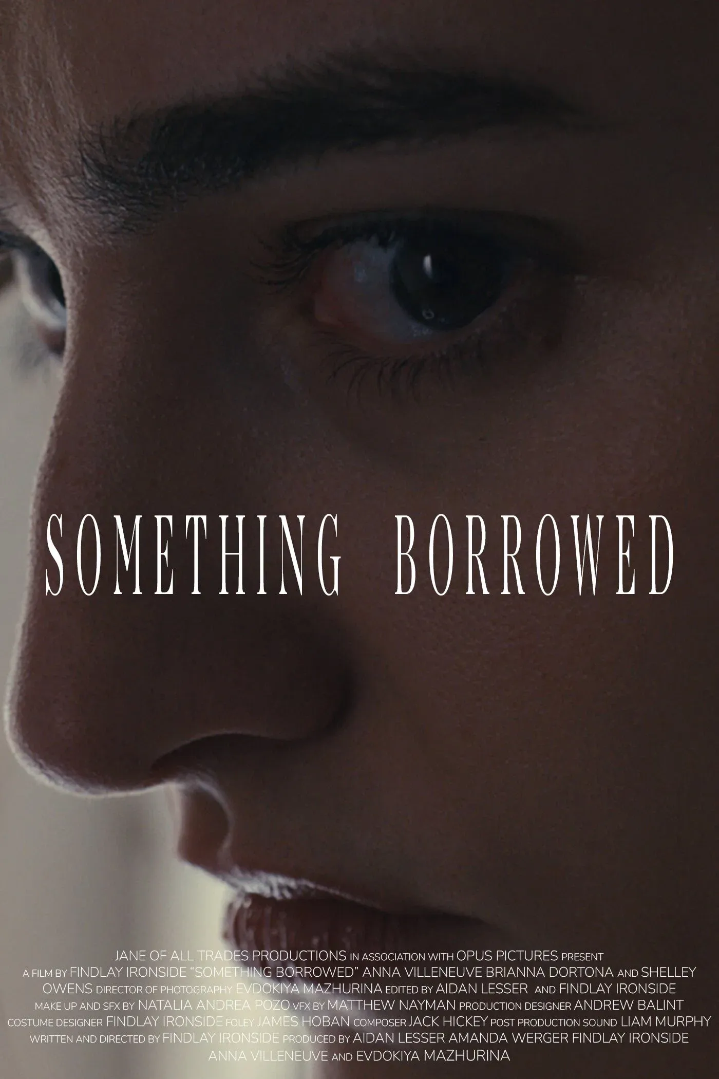 Poster for Something Borrowed