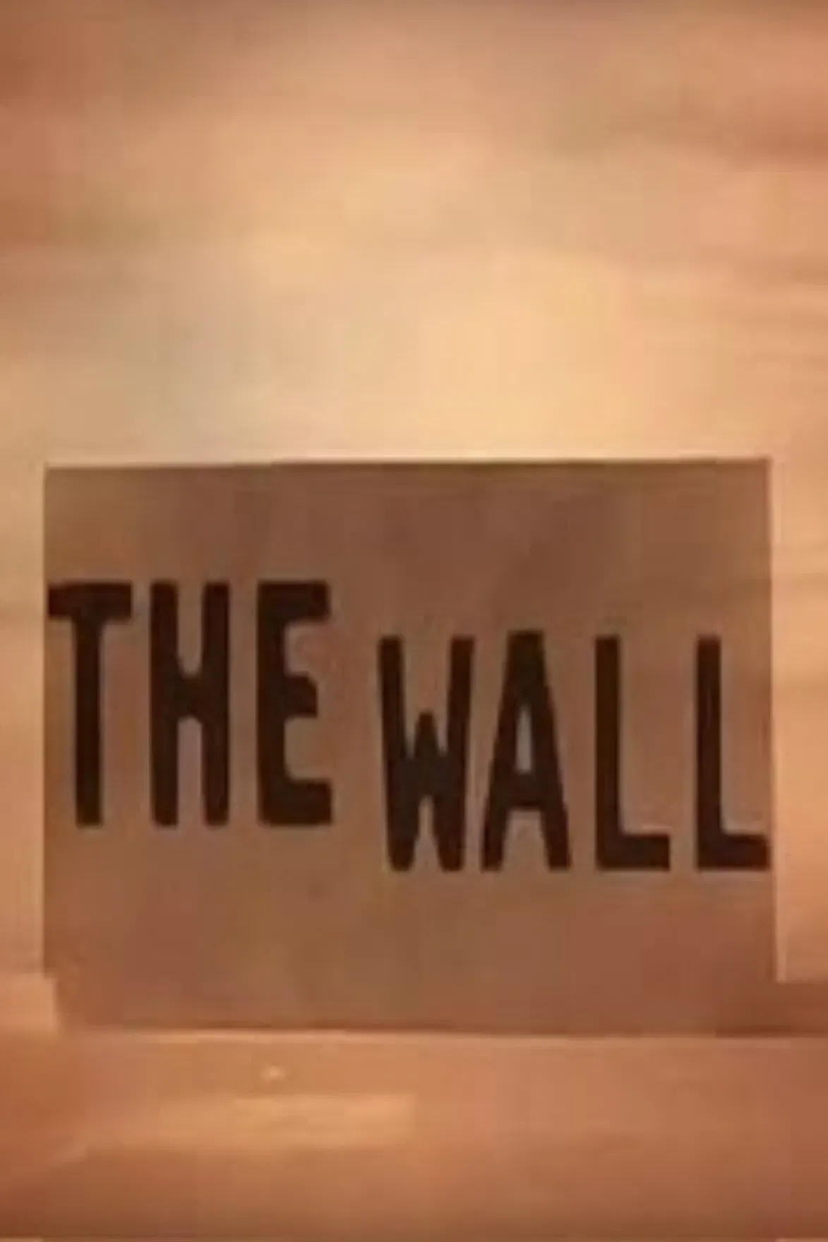 Poster of the movie The Wall