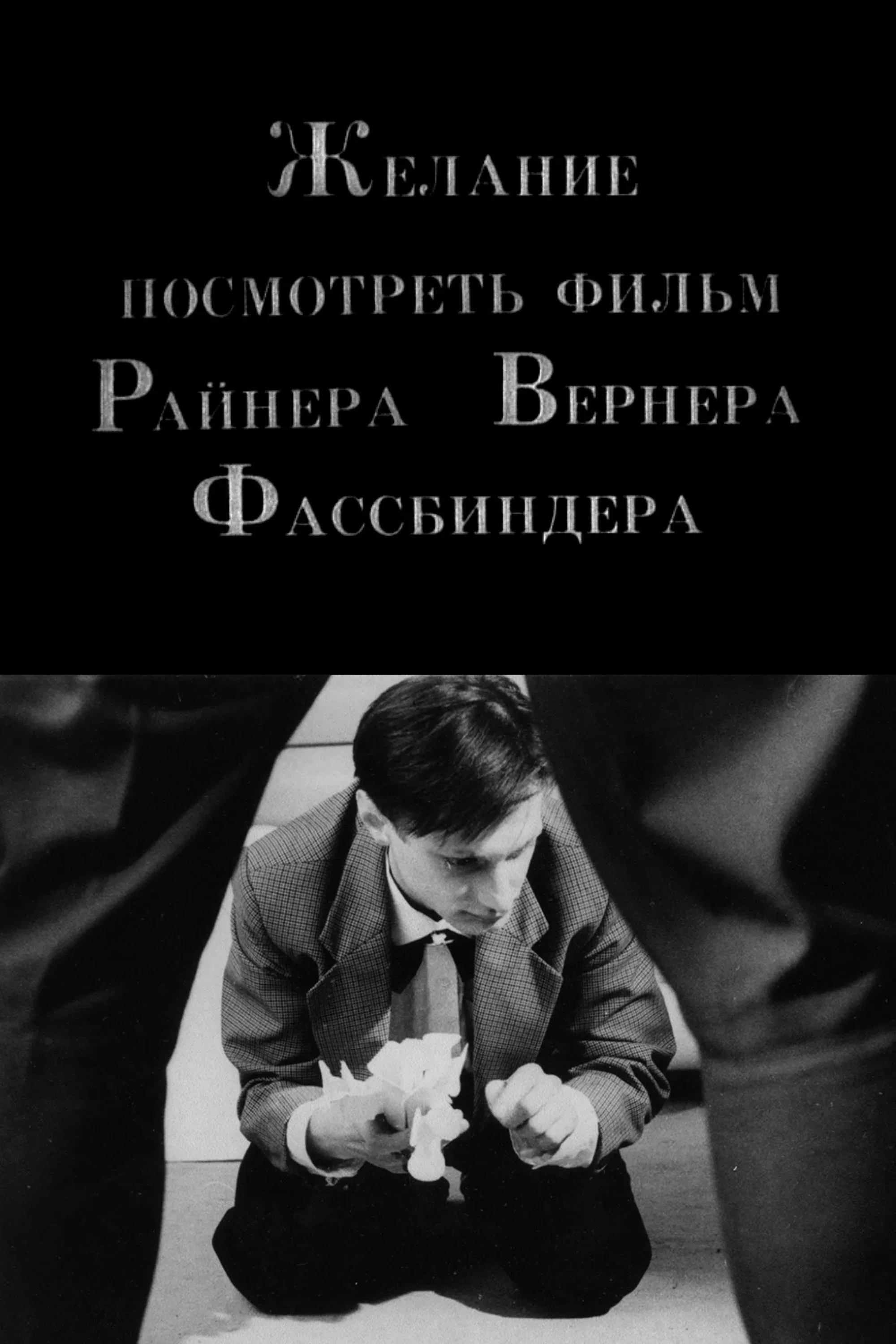 Poster for The Desire to See a Film of Rainer Werner Fassbinder