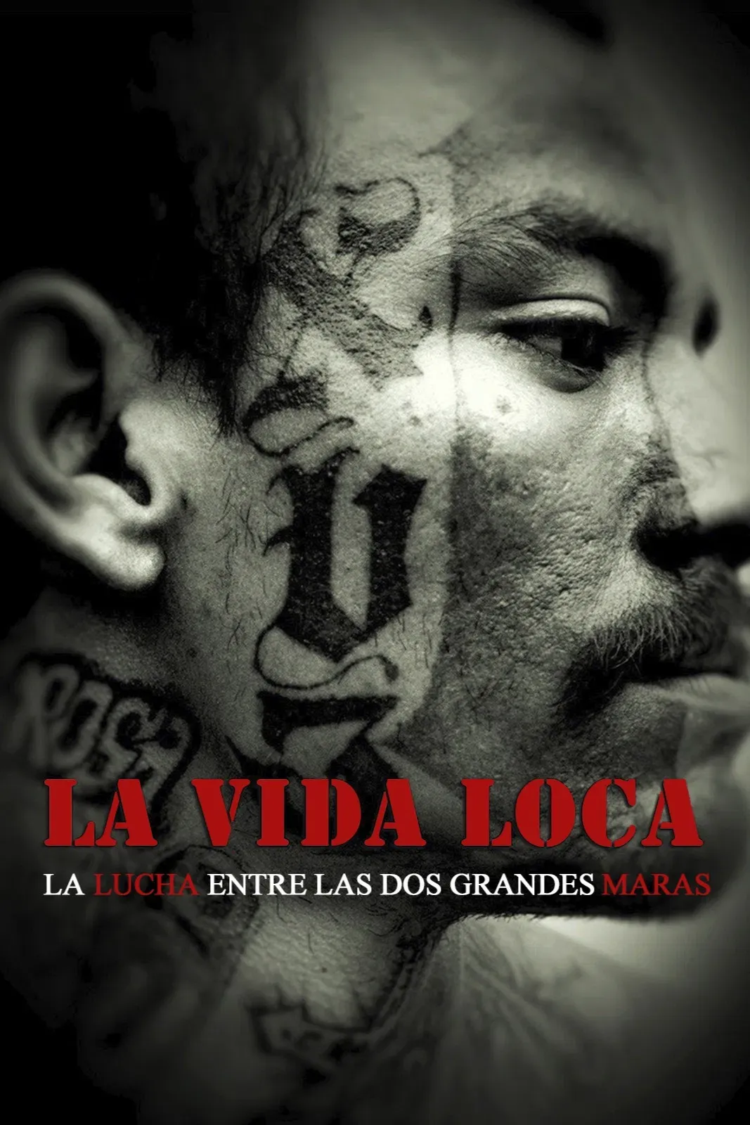 Poster of the movie The Crazy Life