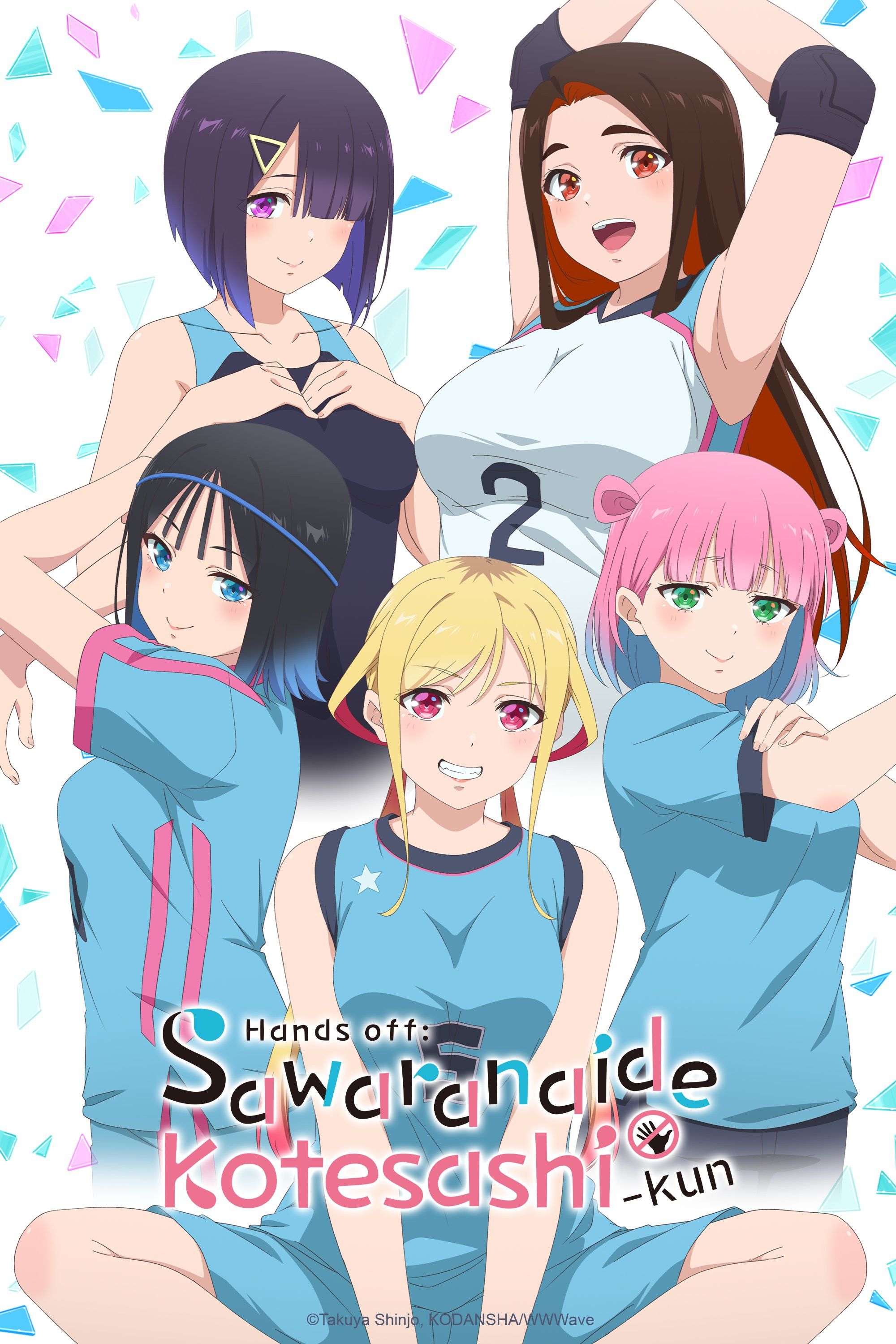 Poster of Hands off: Sawaranaide Kotesashi-kun