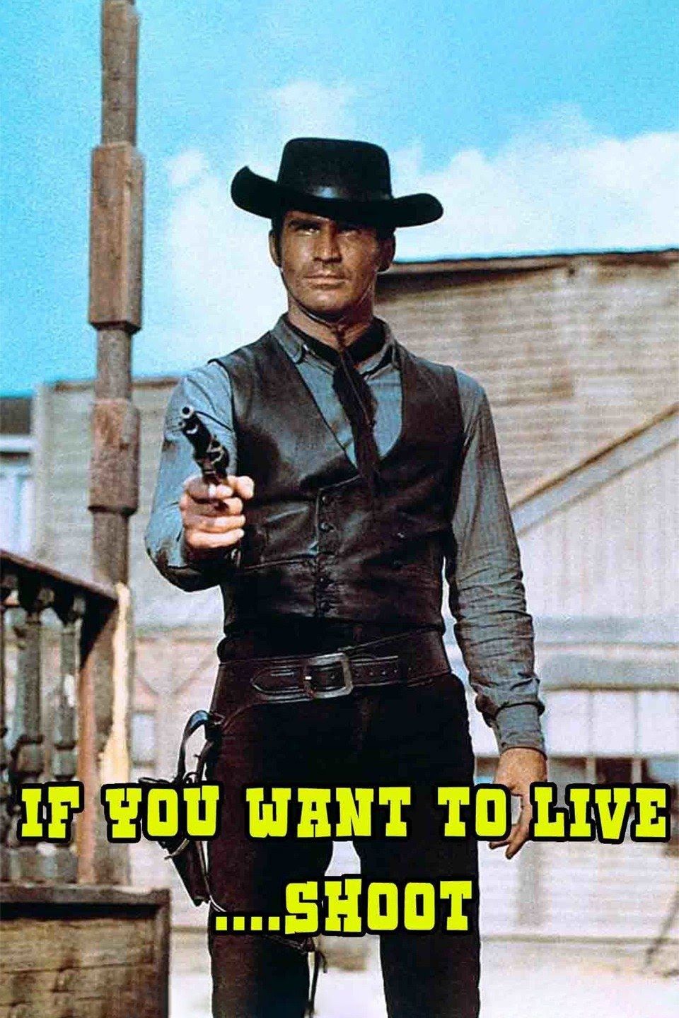 Poster of the movie If You Want to Live... Shoot!