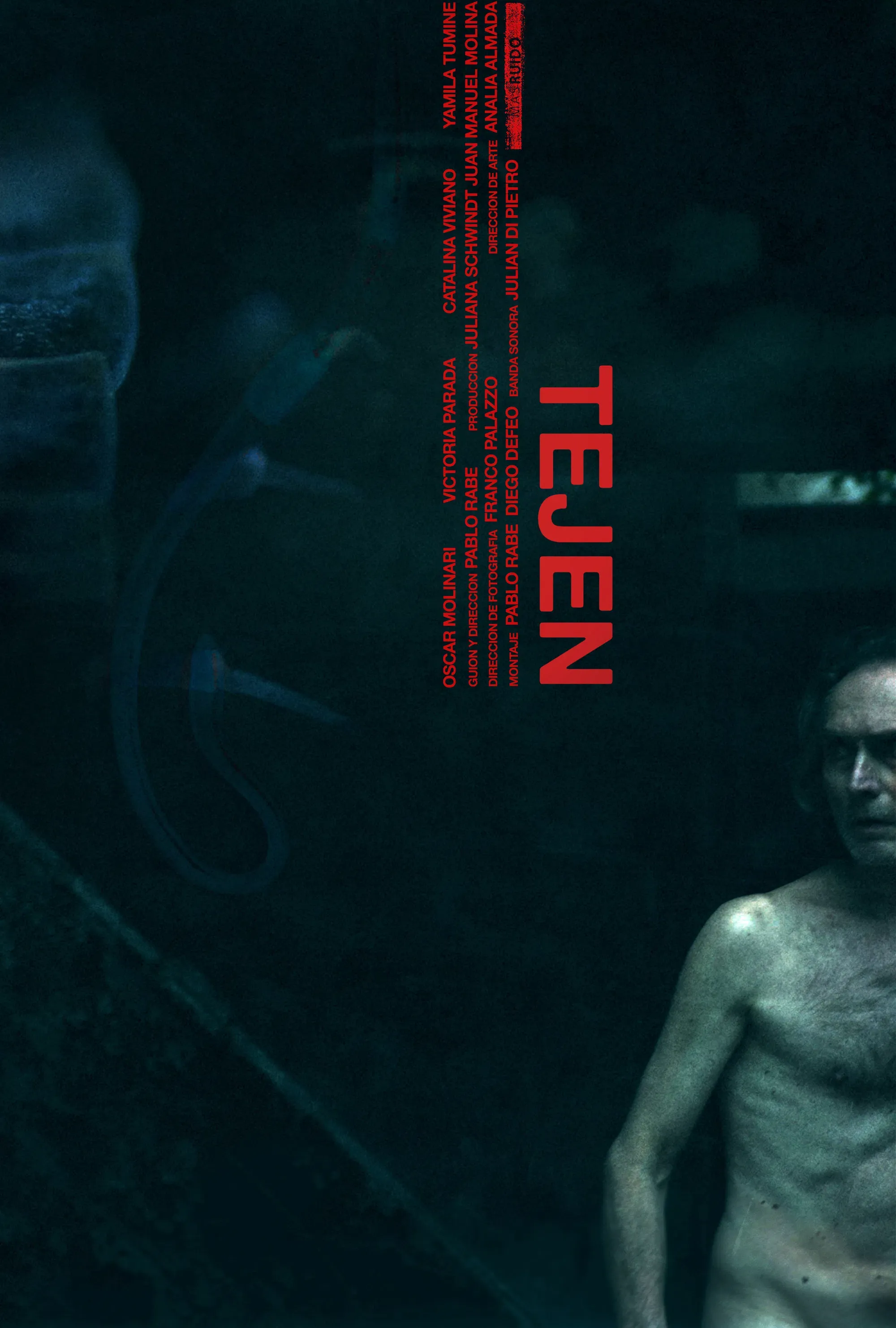 Poster of the movie Tejen