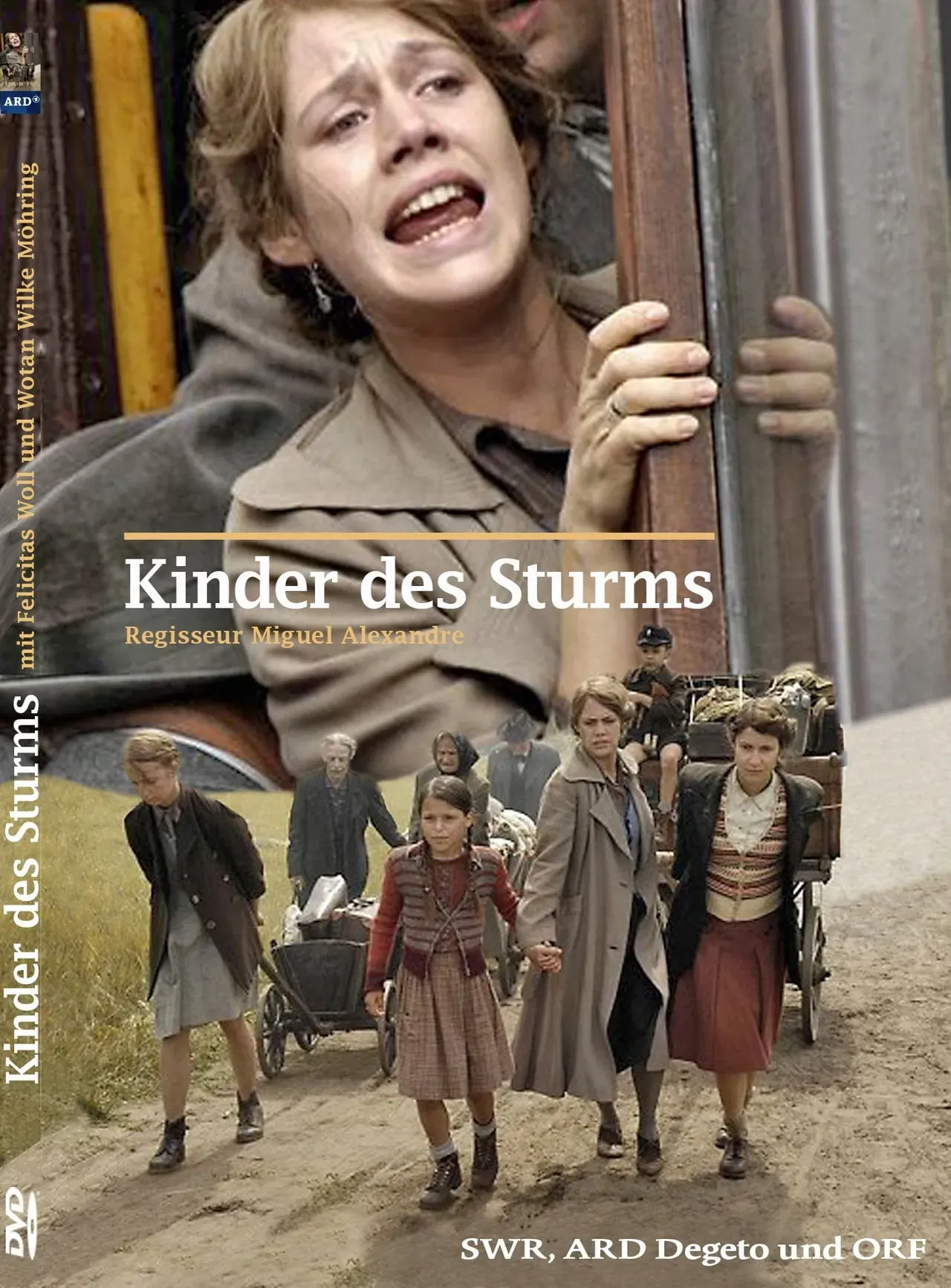 Poster of the movie Kinder des Sturms