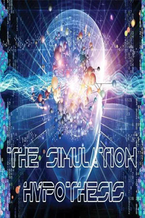 Poster of the movie The Simulation Hypothesis