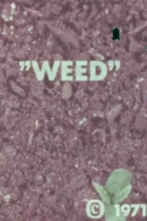 Poster of the movie WEED