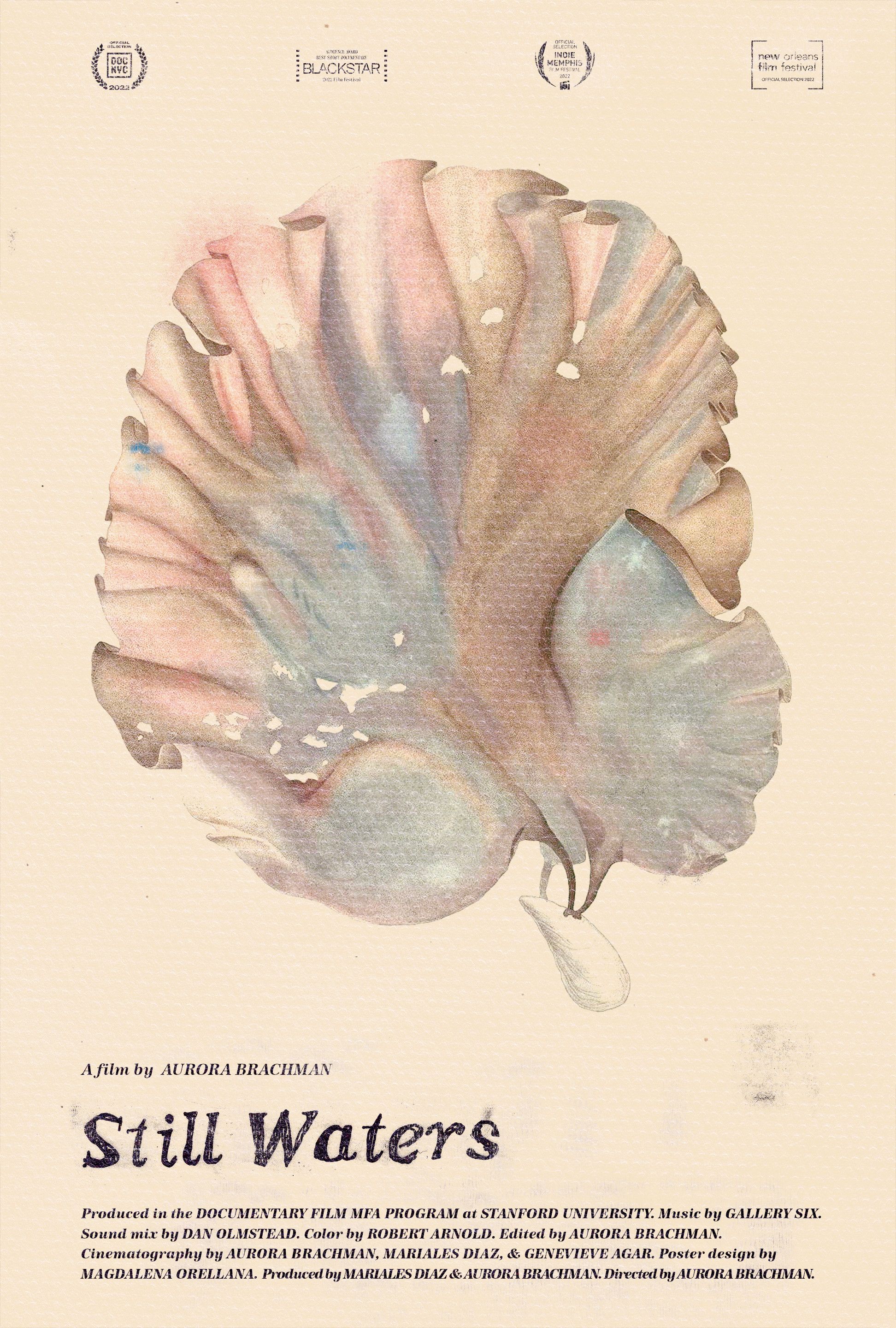 Poster for Still Waters