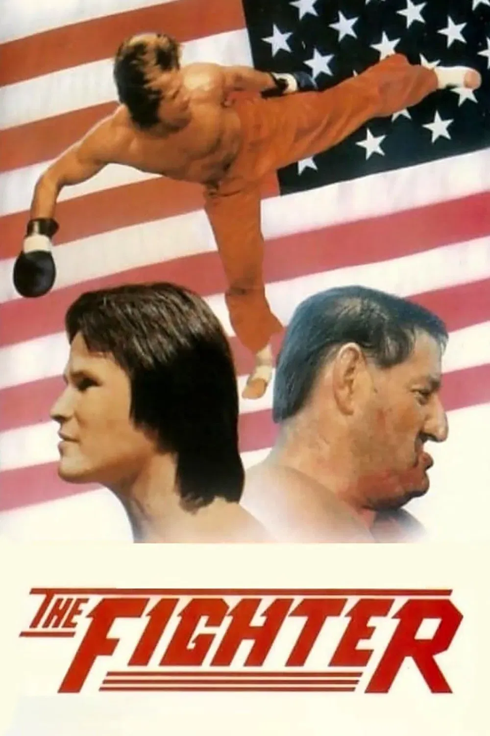 Poster of the movie The Fighter