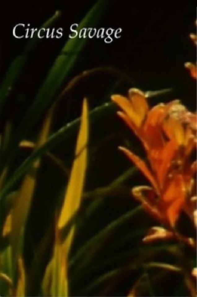 Poster of the movie Circus Savage