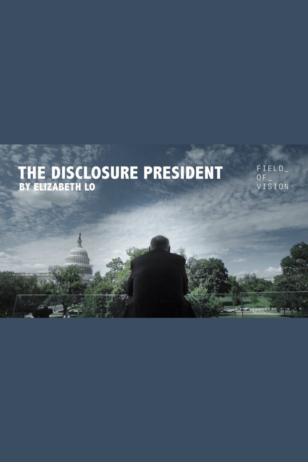 Poster of the movie The Disclosure President
