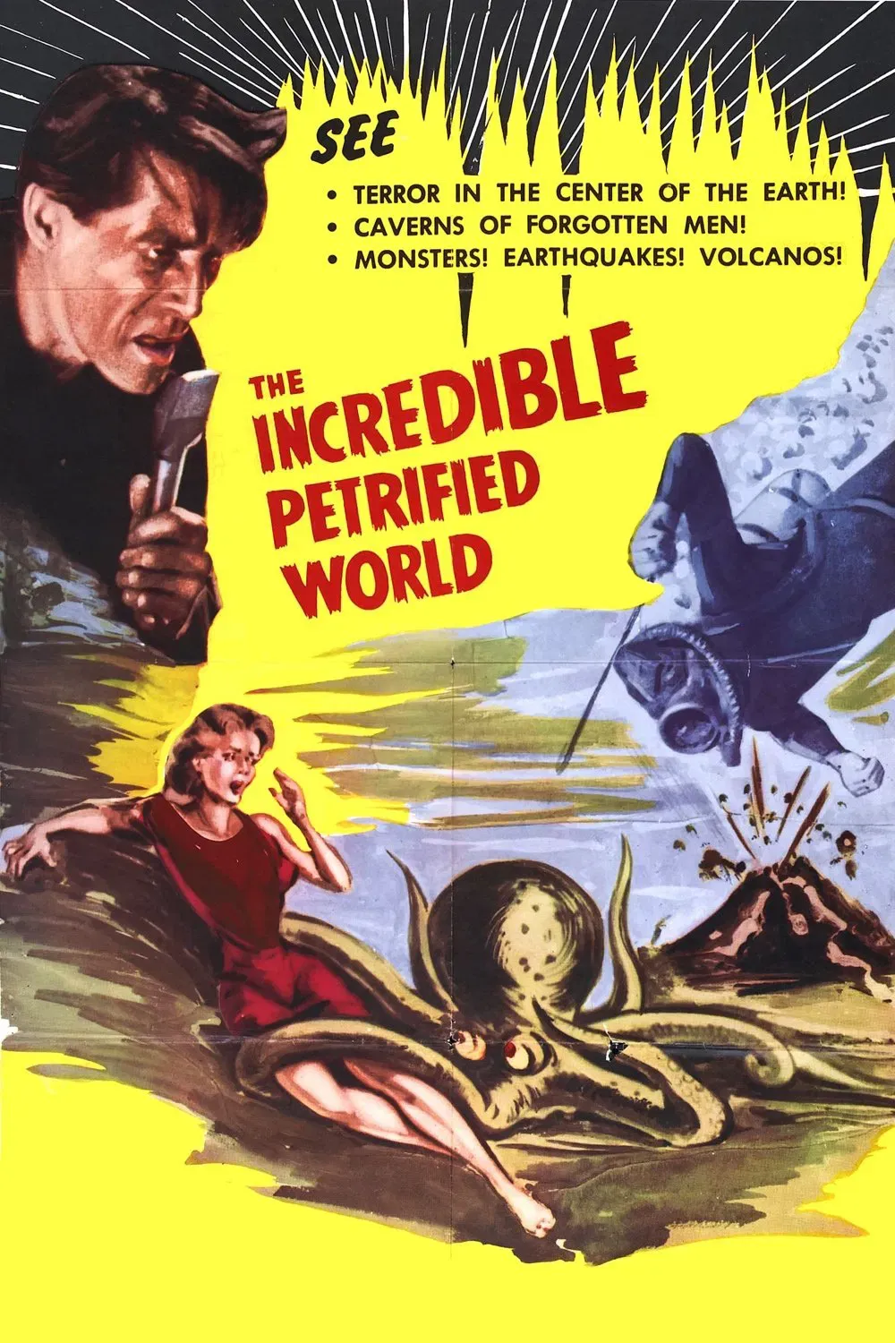 Poster of the movie The Incredible Petrified World