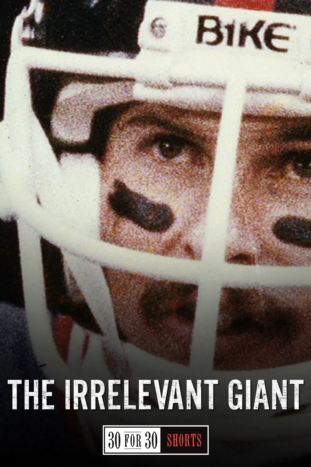 Poster of the movie The Irrelevant Giant
