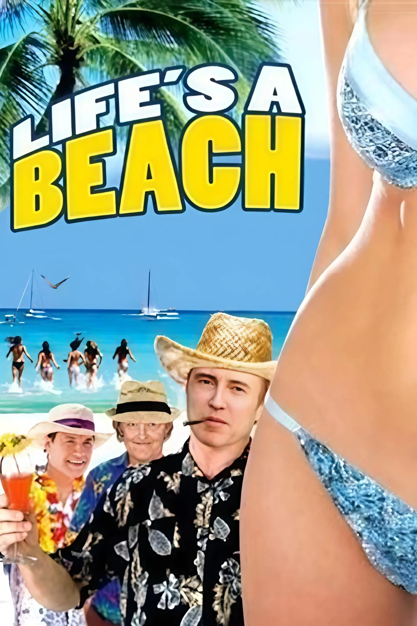 Poster of the movie Life's a Beach