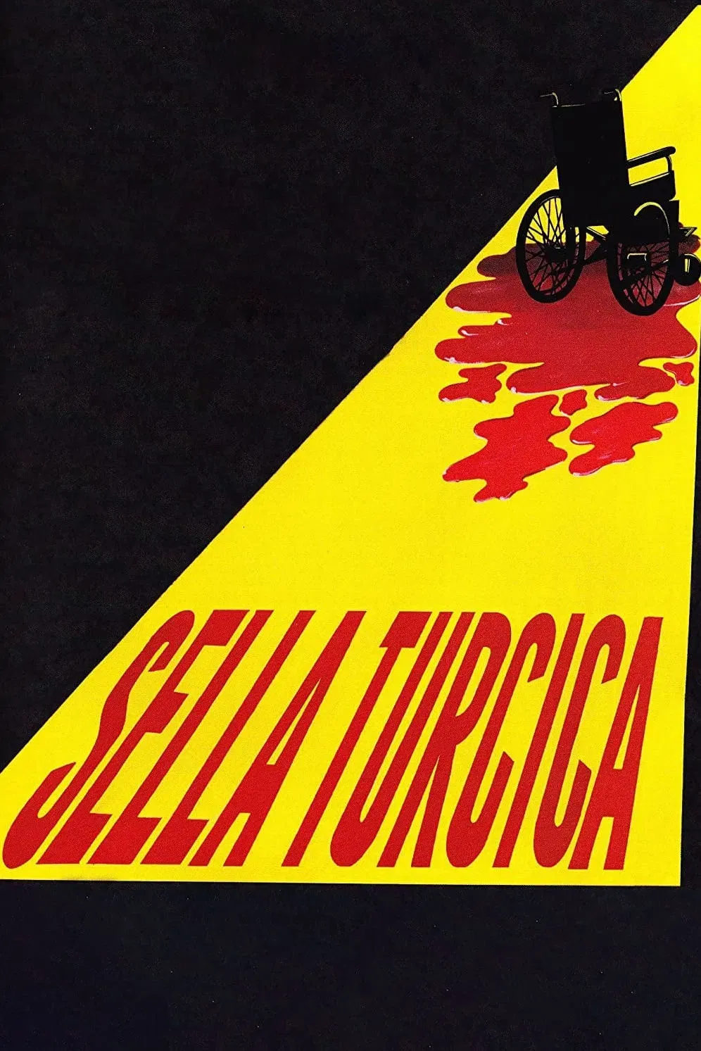 Poster of the movie Sella Turcica