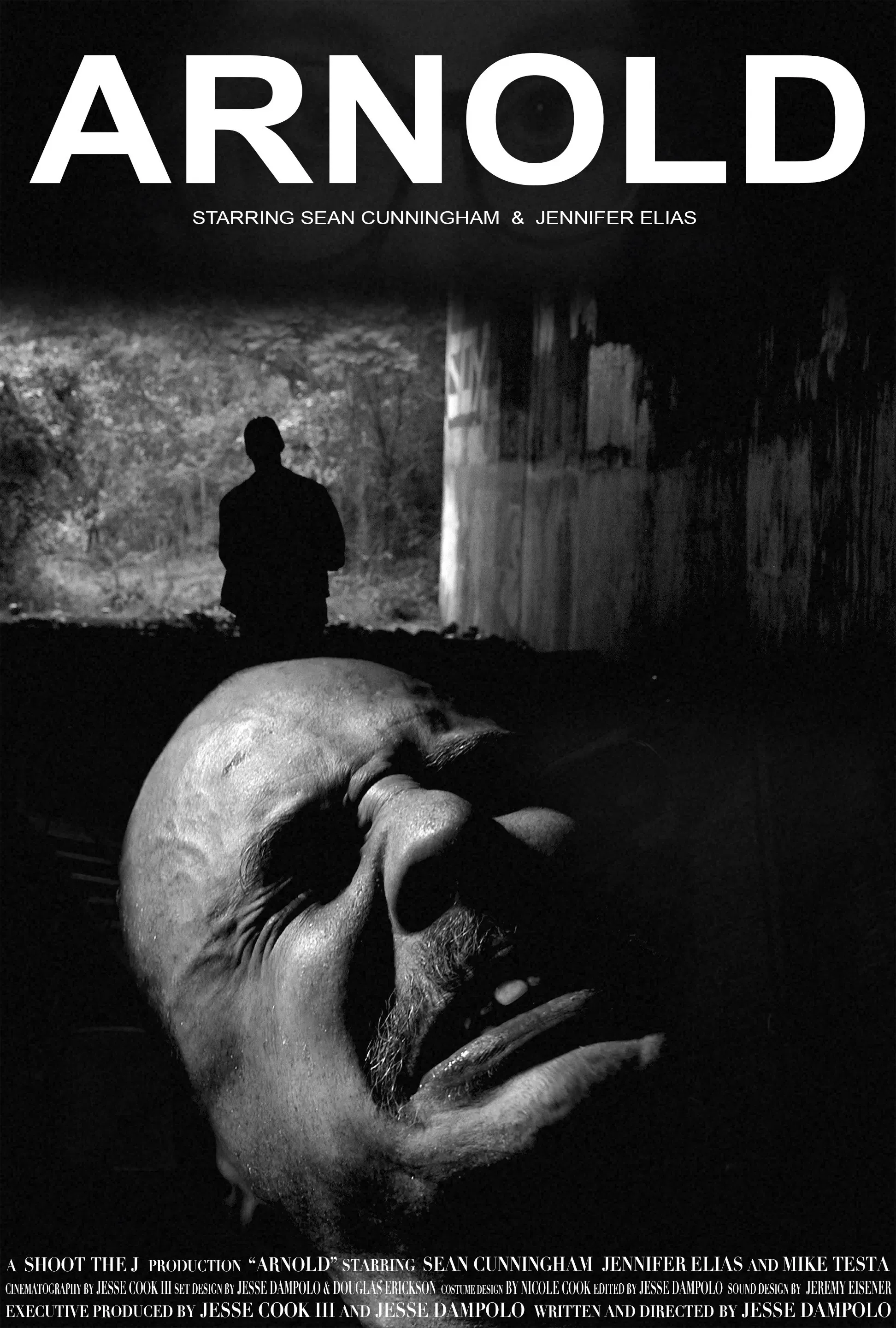 Poster of the movie Arnold