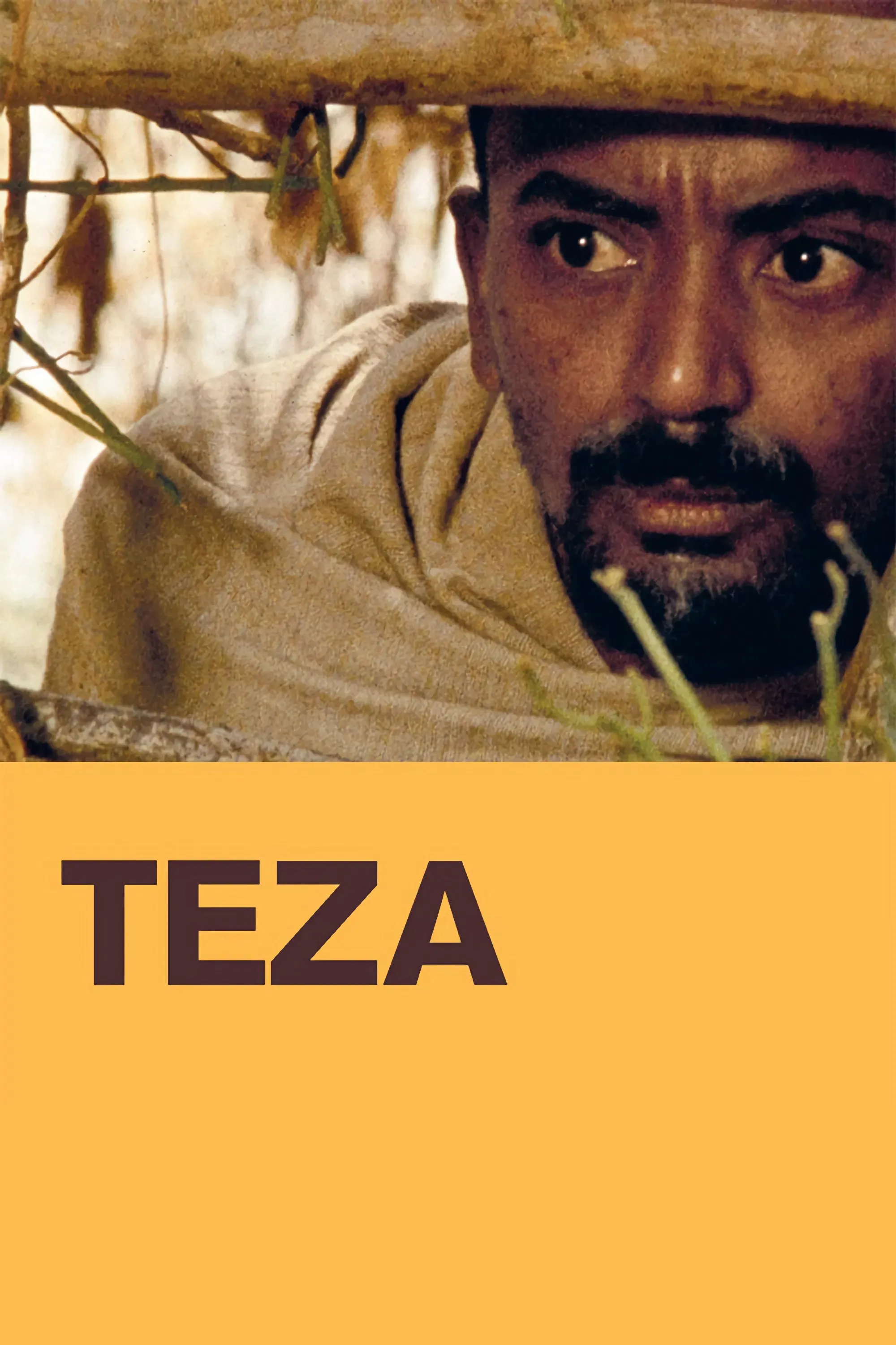 Poster of the movie Teza