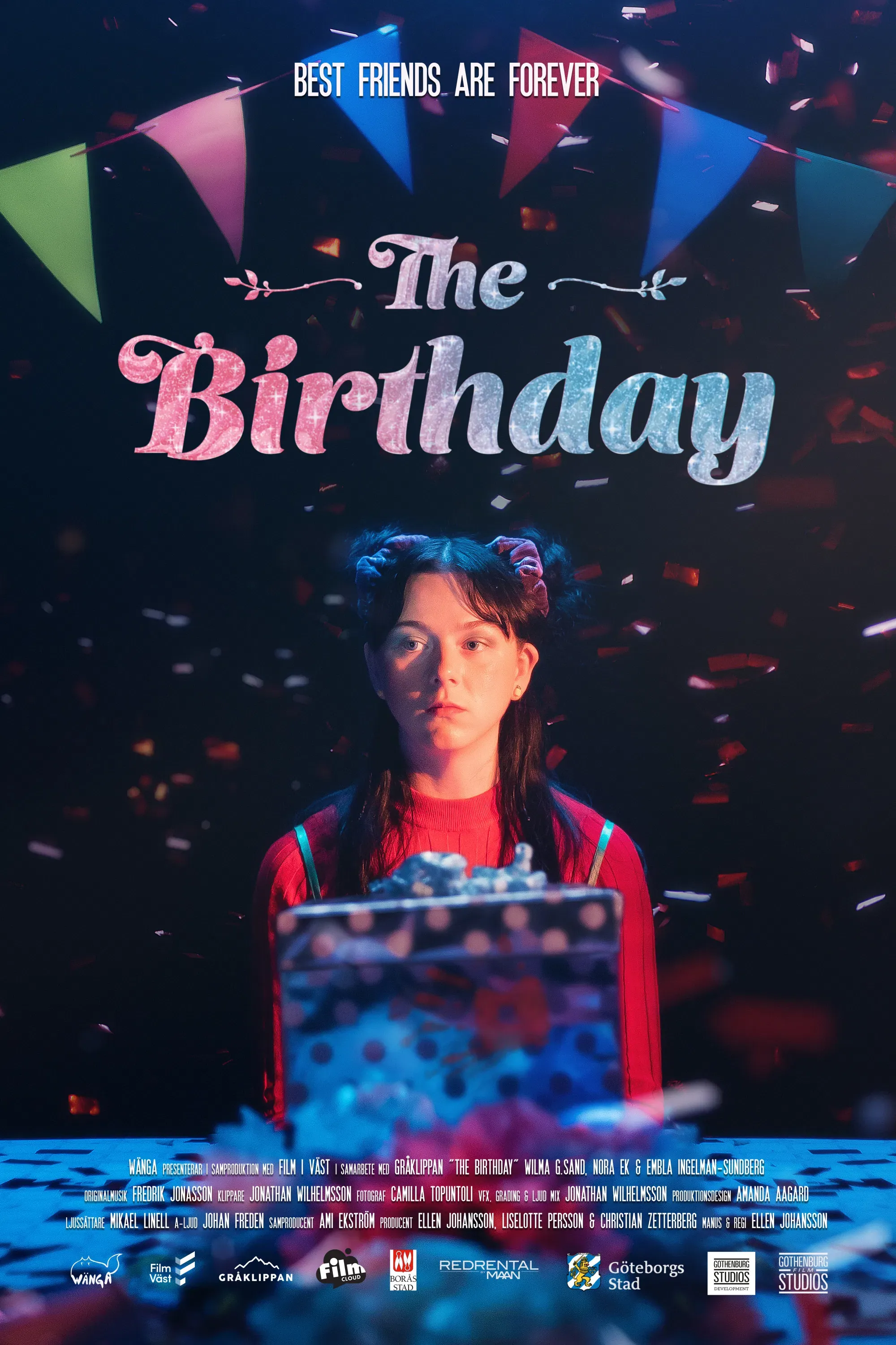 Poster of the movie The Birthday
