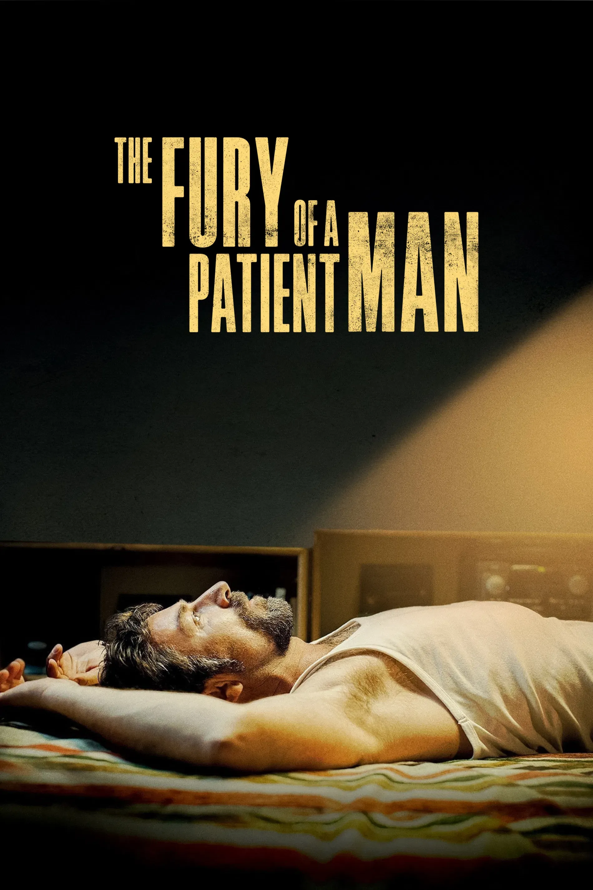 Poster of the movie The Fury of a Patient Man