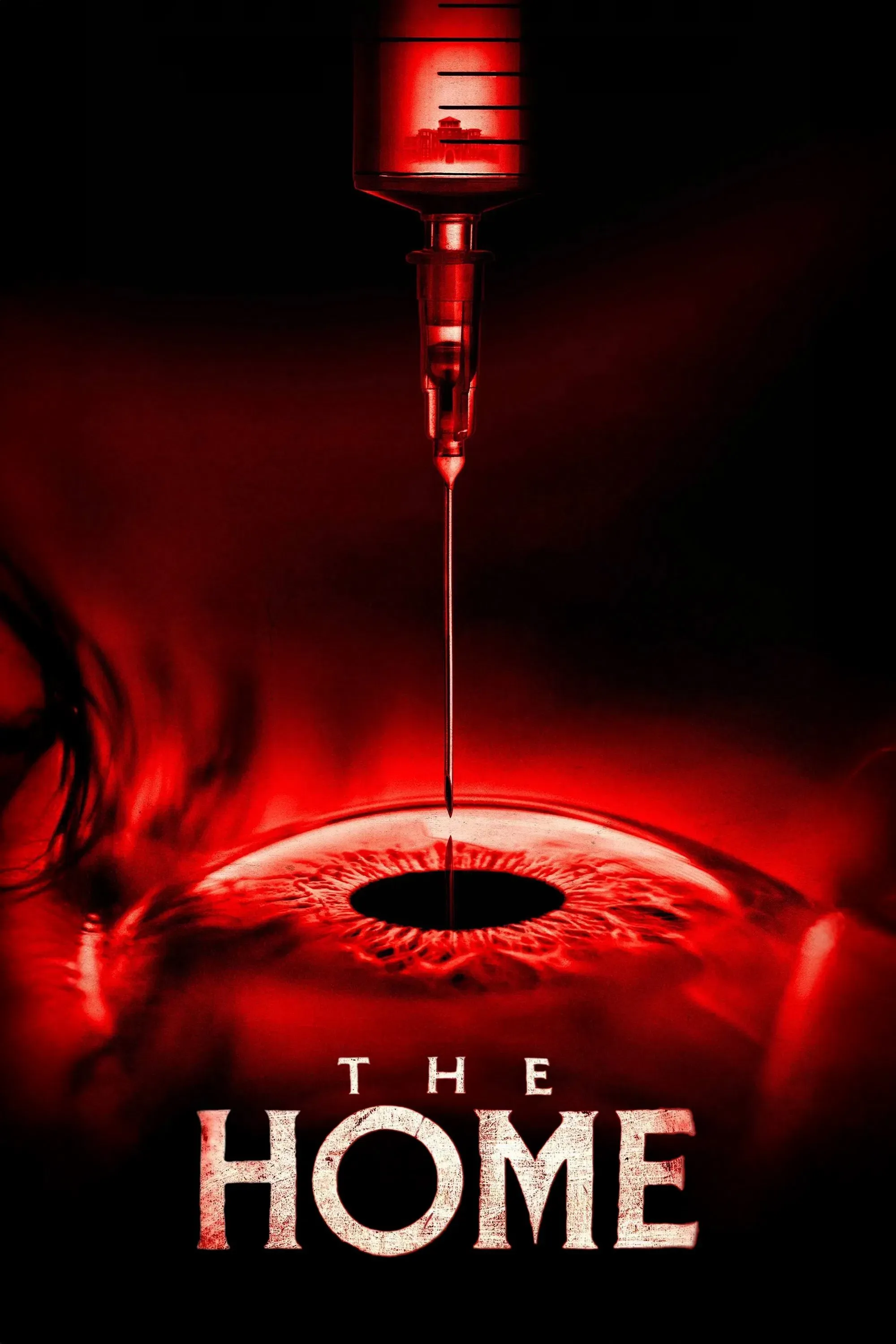 Poster of the movie The Home