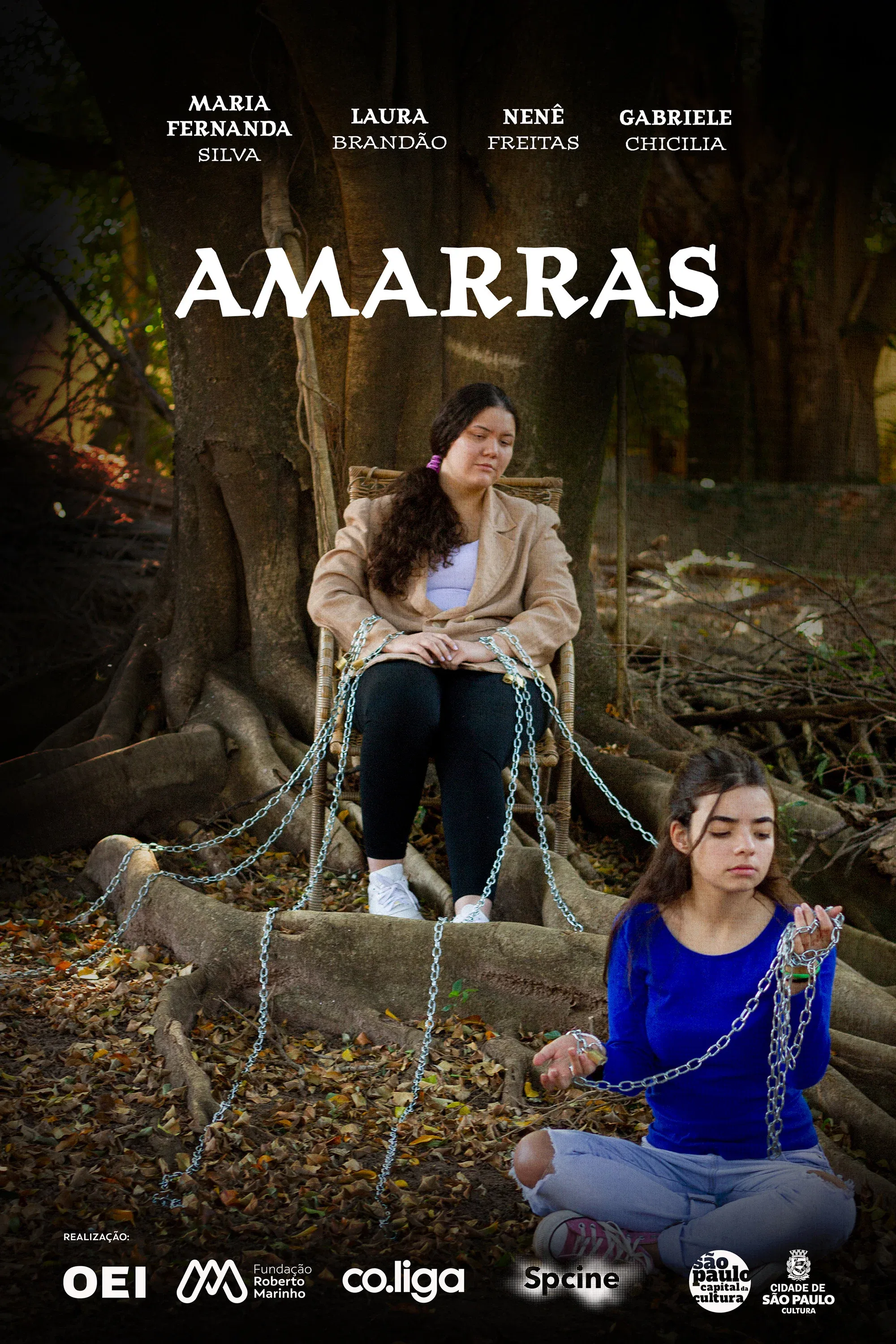 Poster for Amarras