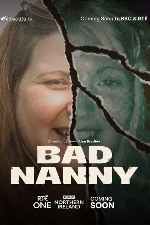 Poster of Bad Nanny